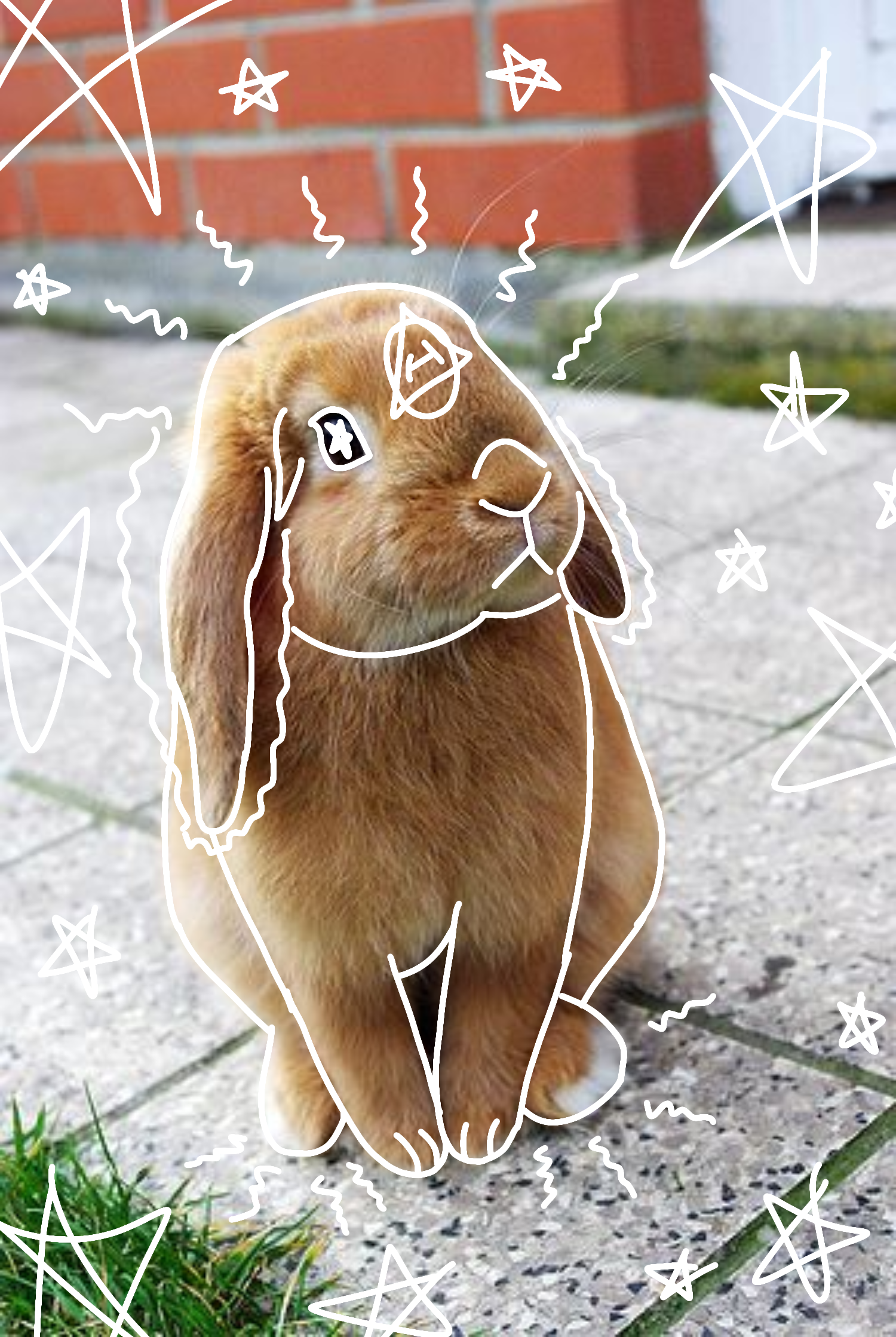 Line art for my theriotypes as a polly therian