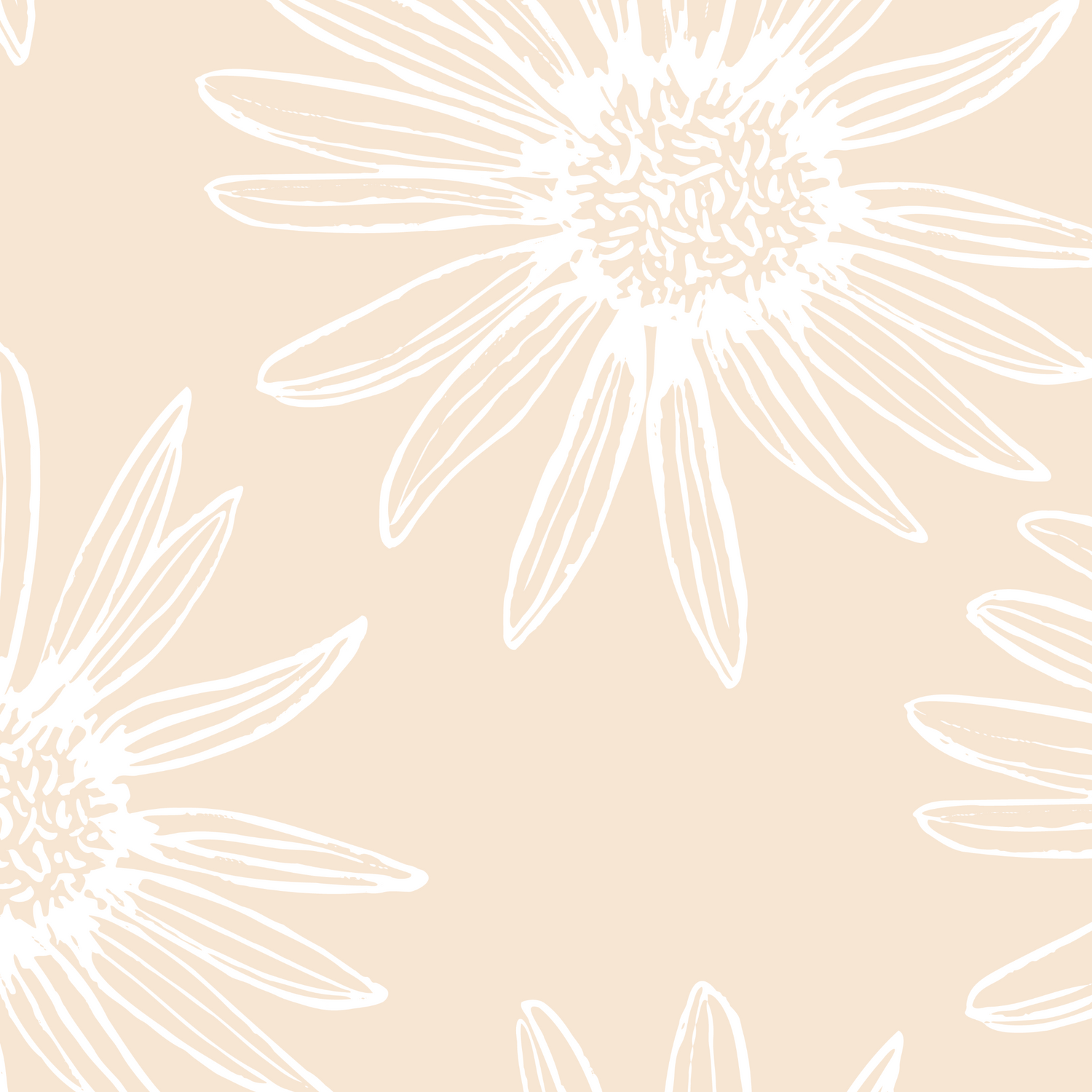 Daisy Wall Wallpaper
