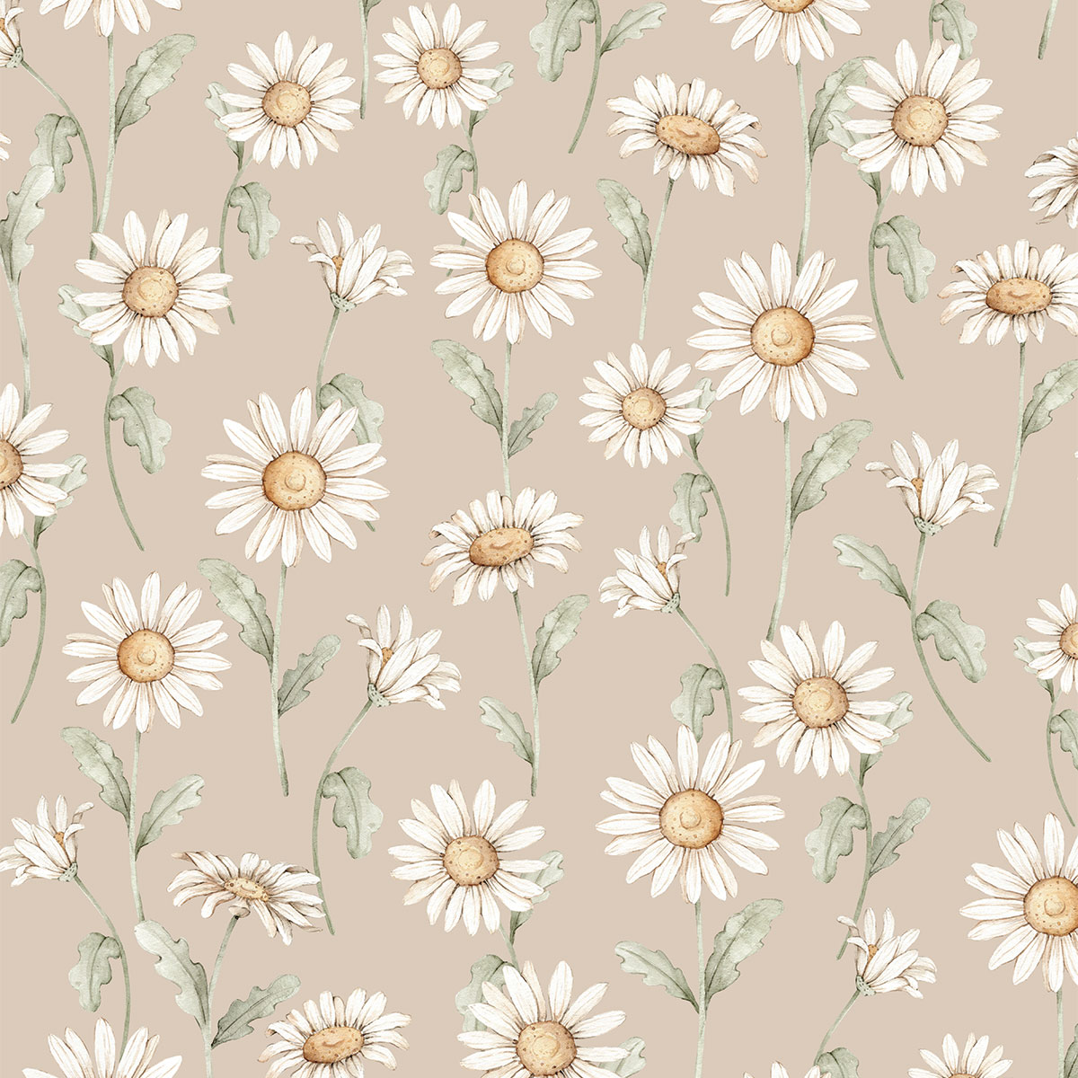 Sunny Daisy beige wallpaper