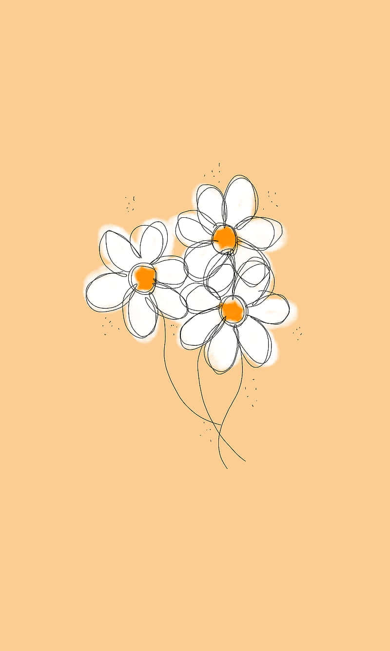 Download Cute Daisy Flowers Drawing Beige Background Wallpaper