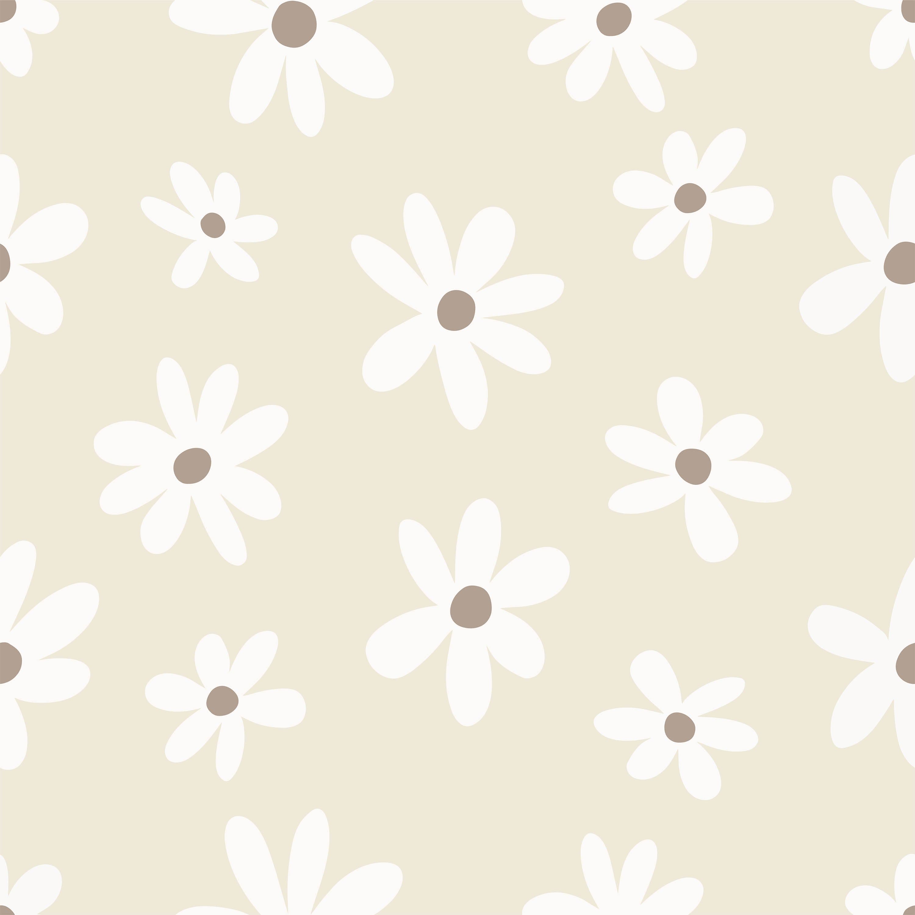 Simple Daisy Wallpaper