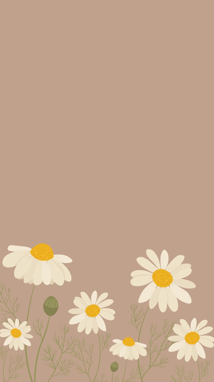 Phone wallpaper. daisy