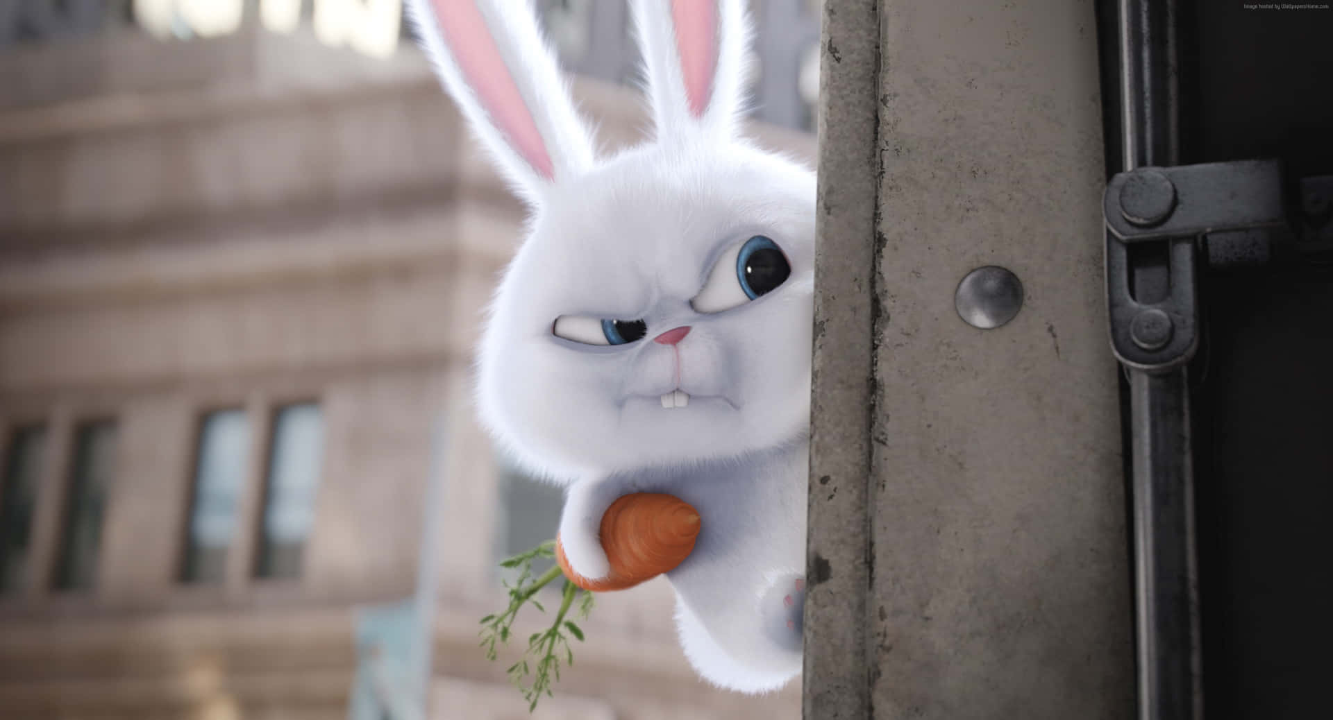 Download The Secret Life Of Pets 2 Snowball Wallpaper