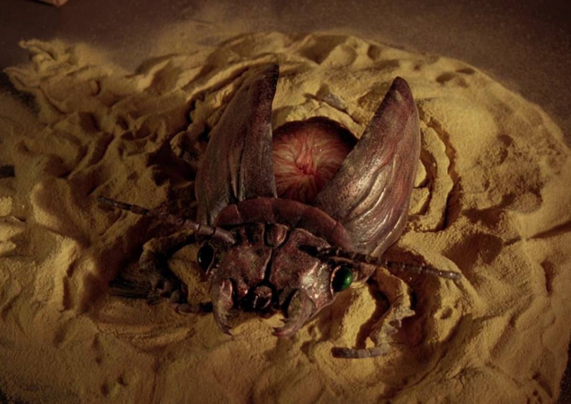 Naked Lunch. Roxy Cinema New York