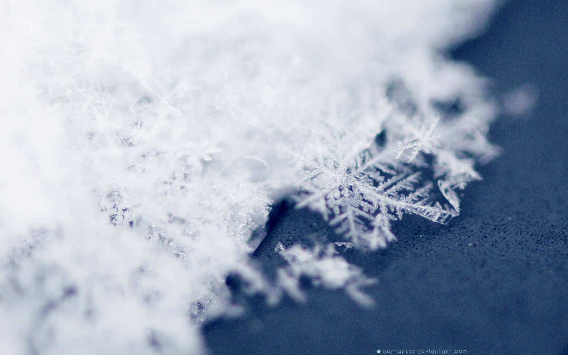 Download Enjoy Winter's Beauty With A View Of A Beautiful Snowflake In A Snow Covered Landscape