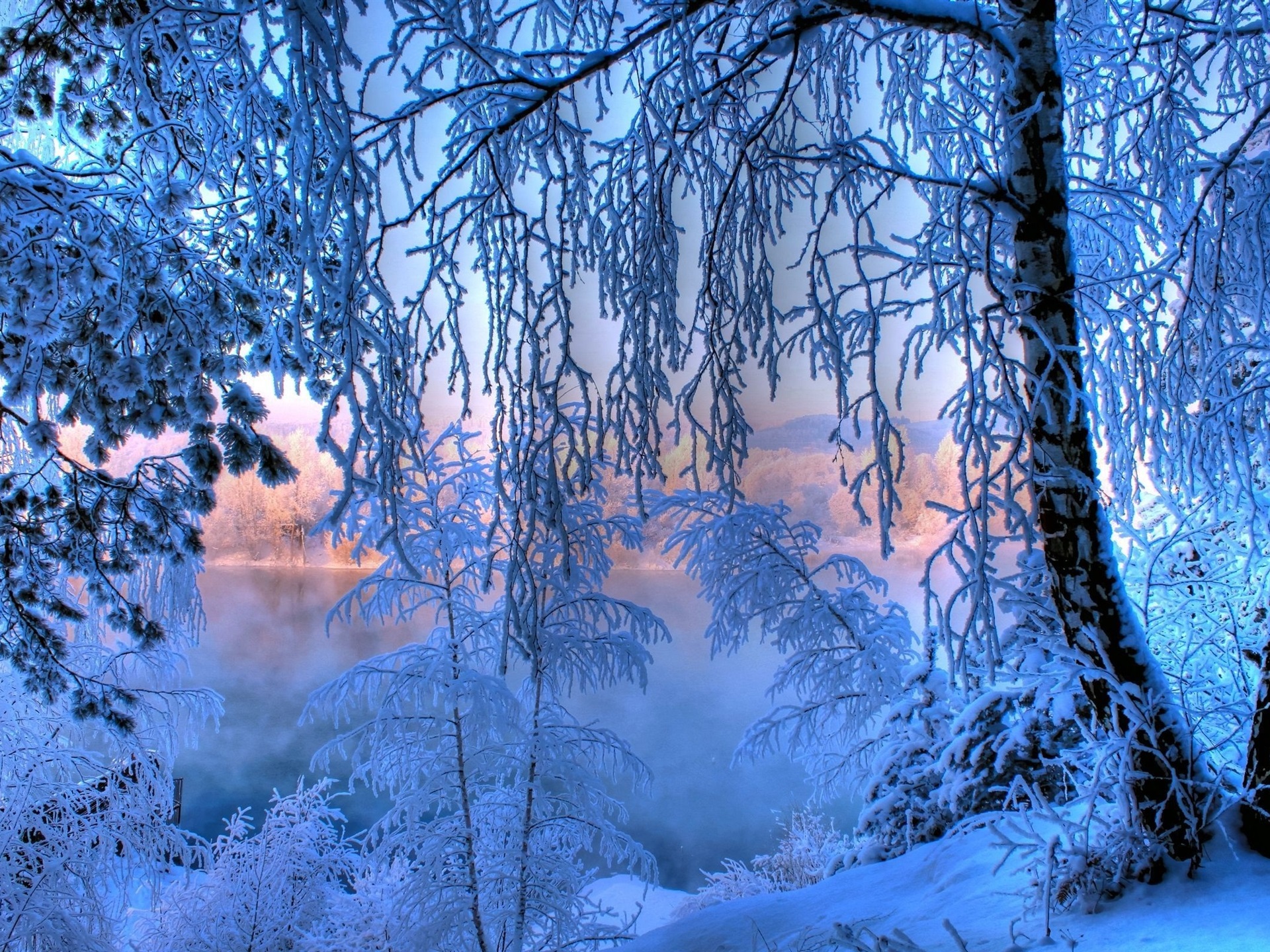 Wallpaper Winter dawn, thick snow, trees, twigs, river 2560x1600 Picture, Image