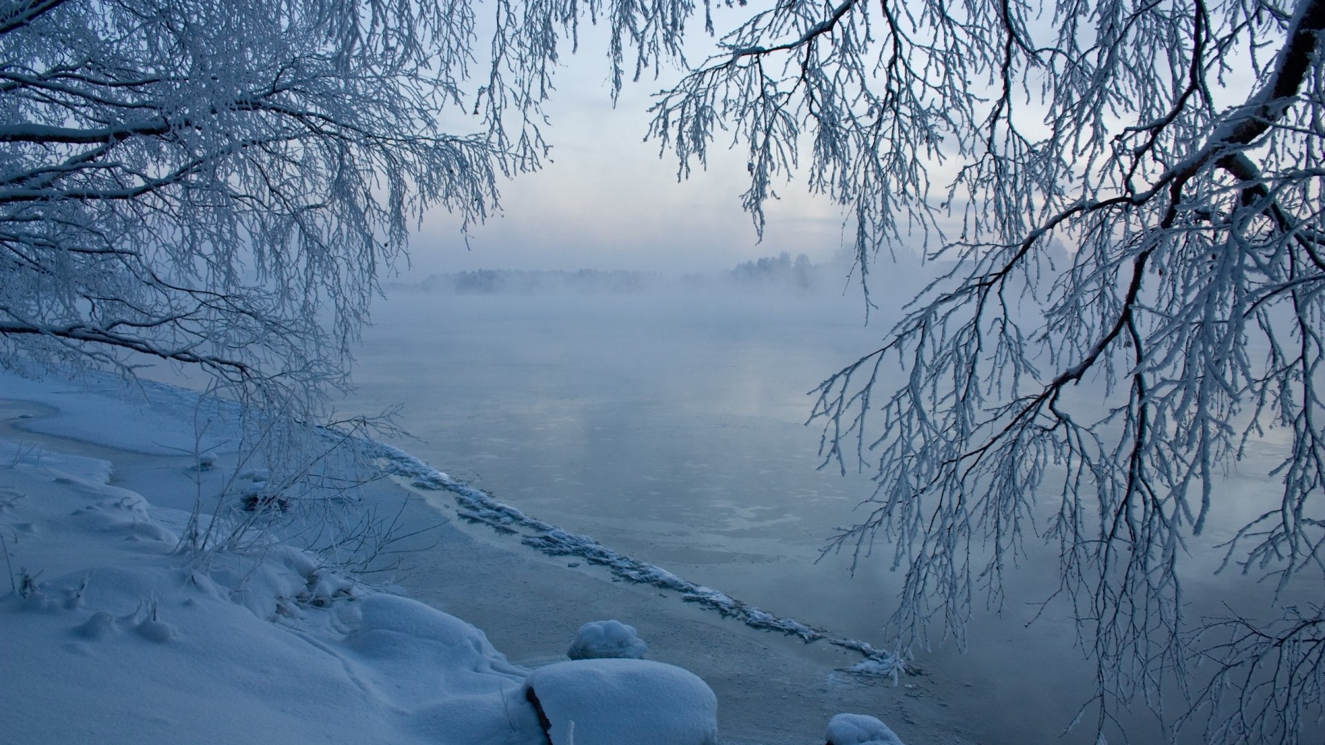 Winter's Frozen Embrace: Serene Snowy Trees by the Icy Lake HD Wallpaper