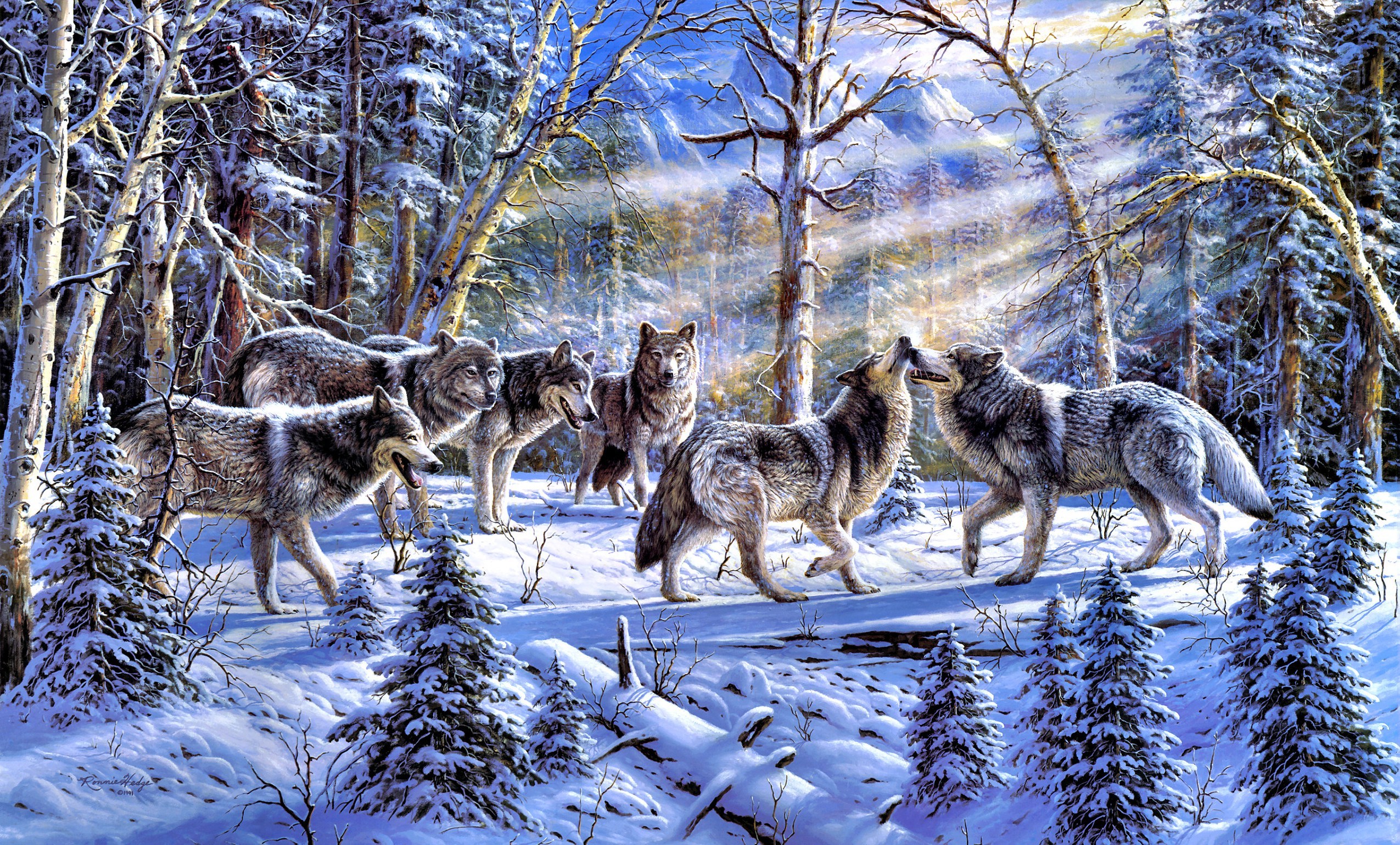 Wallpaper winter, forest, nature, animal, tree, wolf, spruce, pack for mobile and desktop, section живопись, resolution 2550x1540