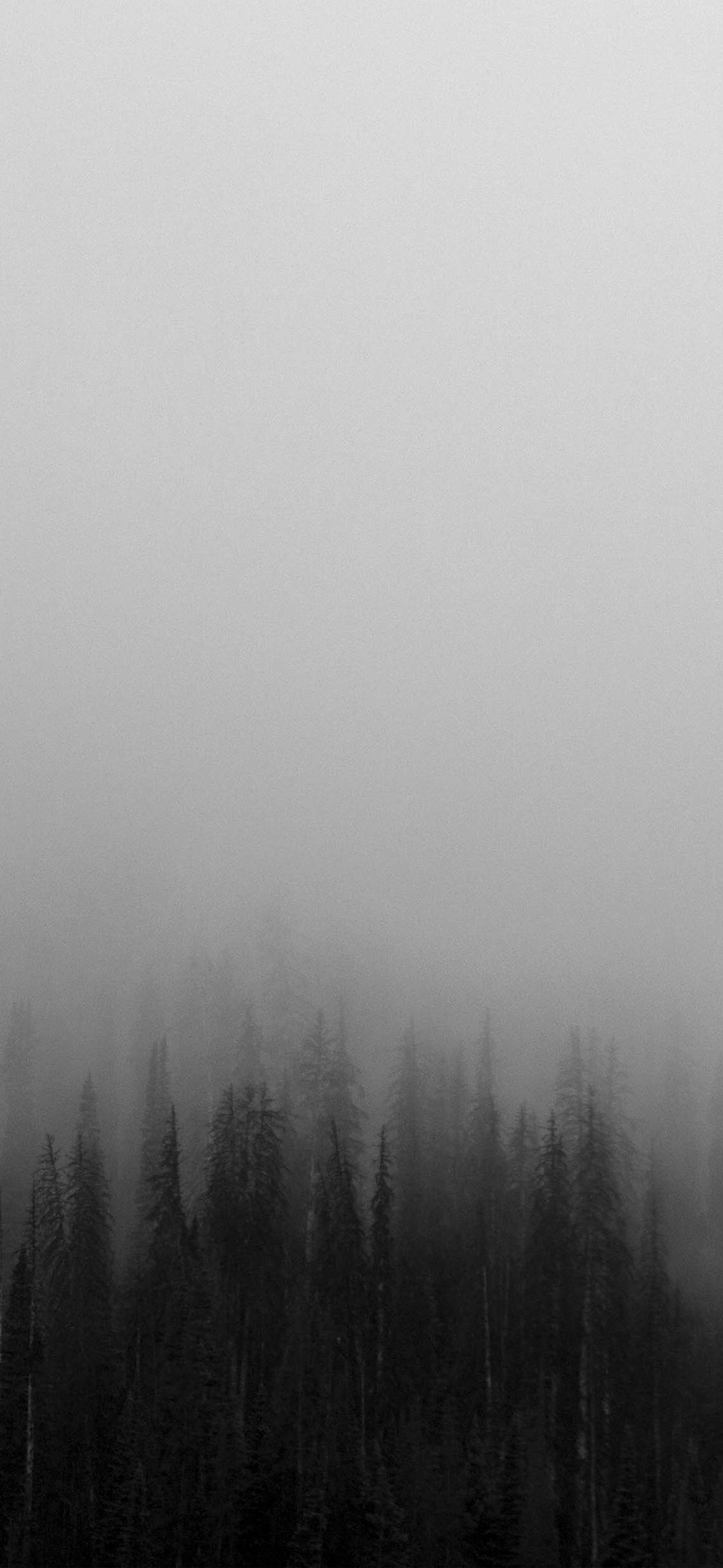 iPhone X wallpaper. fog minimal mountain wood nature