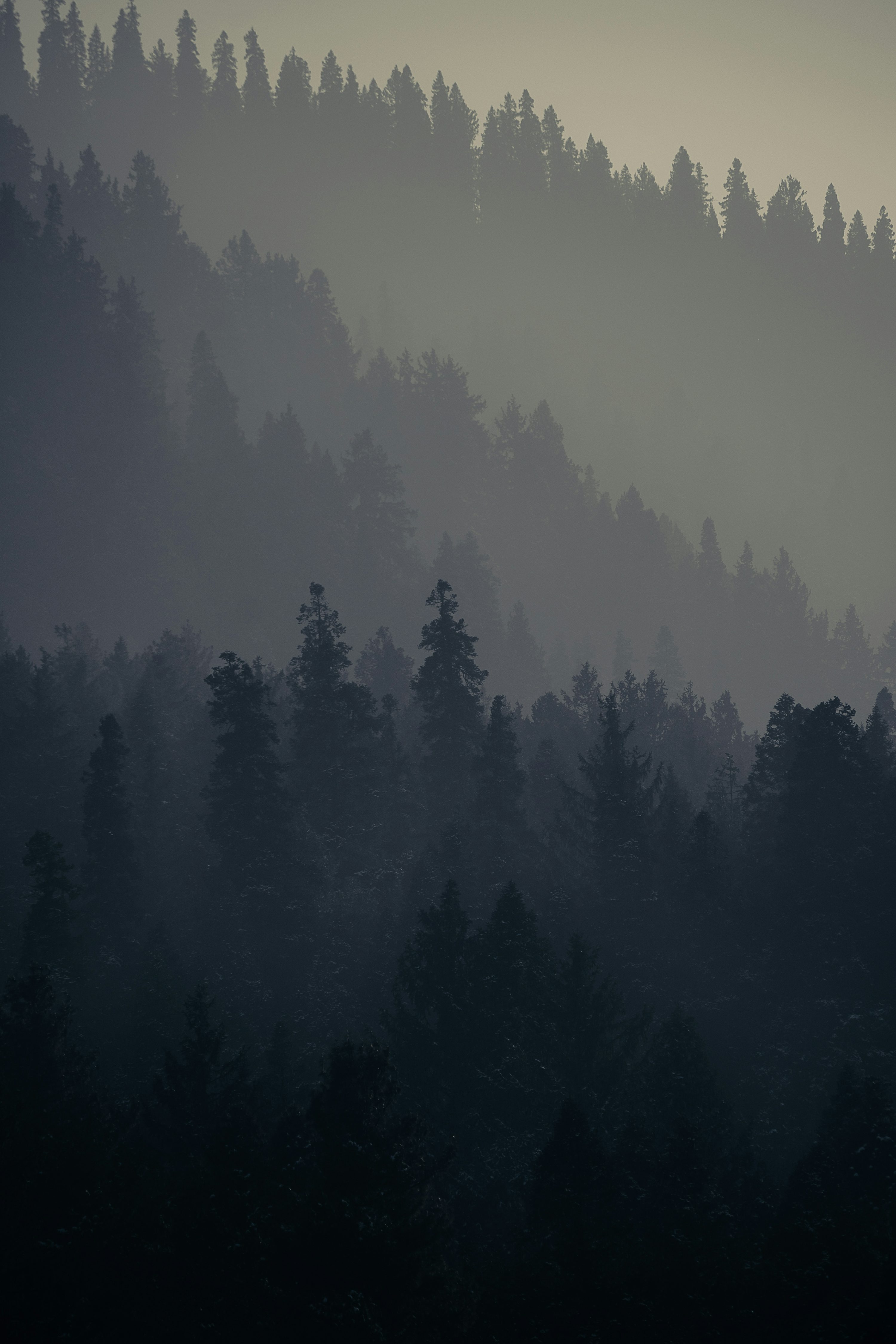 Minimalist iPhone Picture. Download Free Image