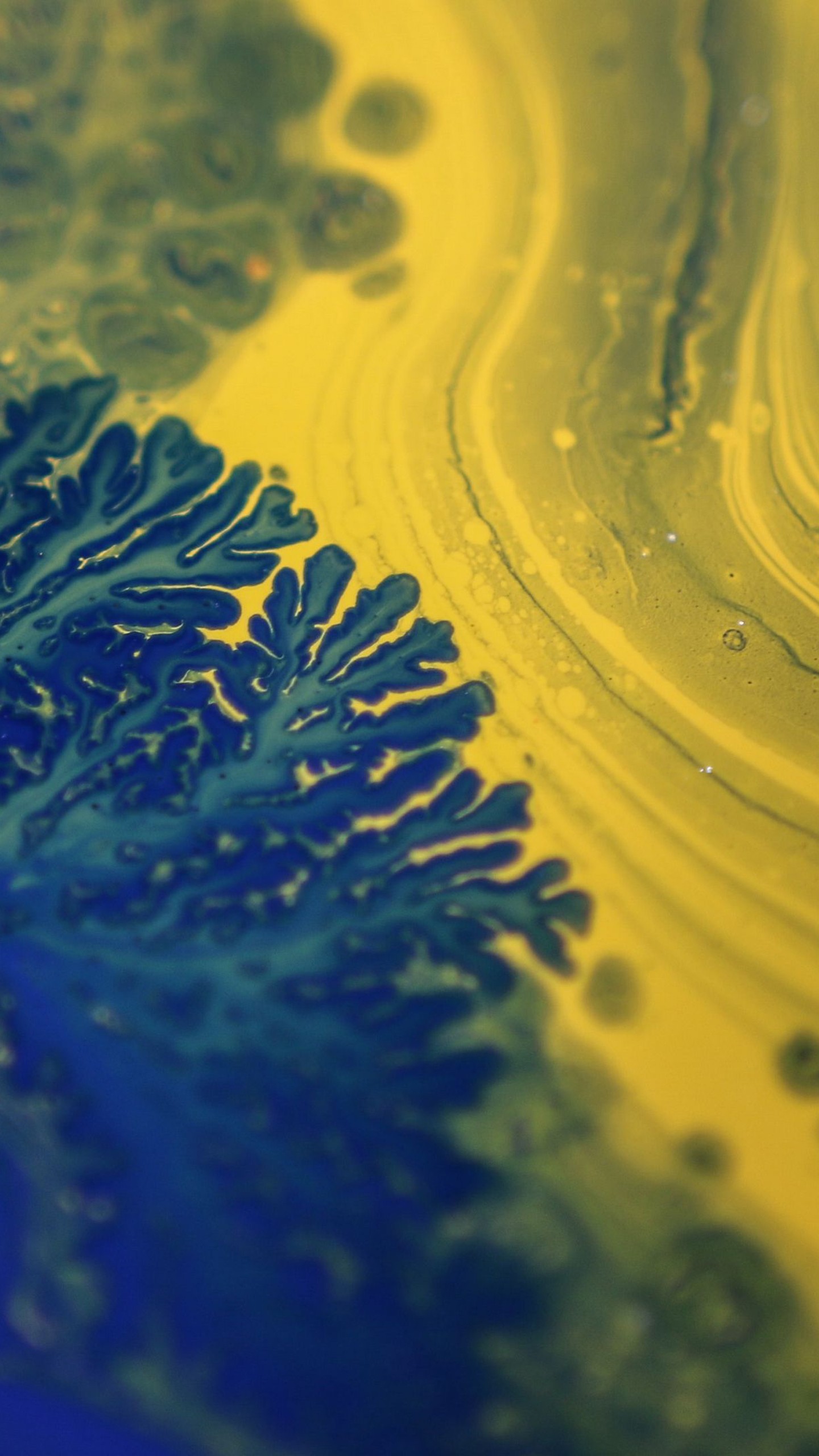 Yellow Blue Paint Stains Liquid 4K HD Abstract Wallpaper