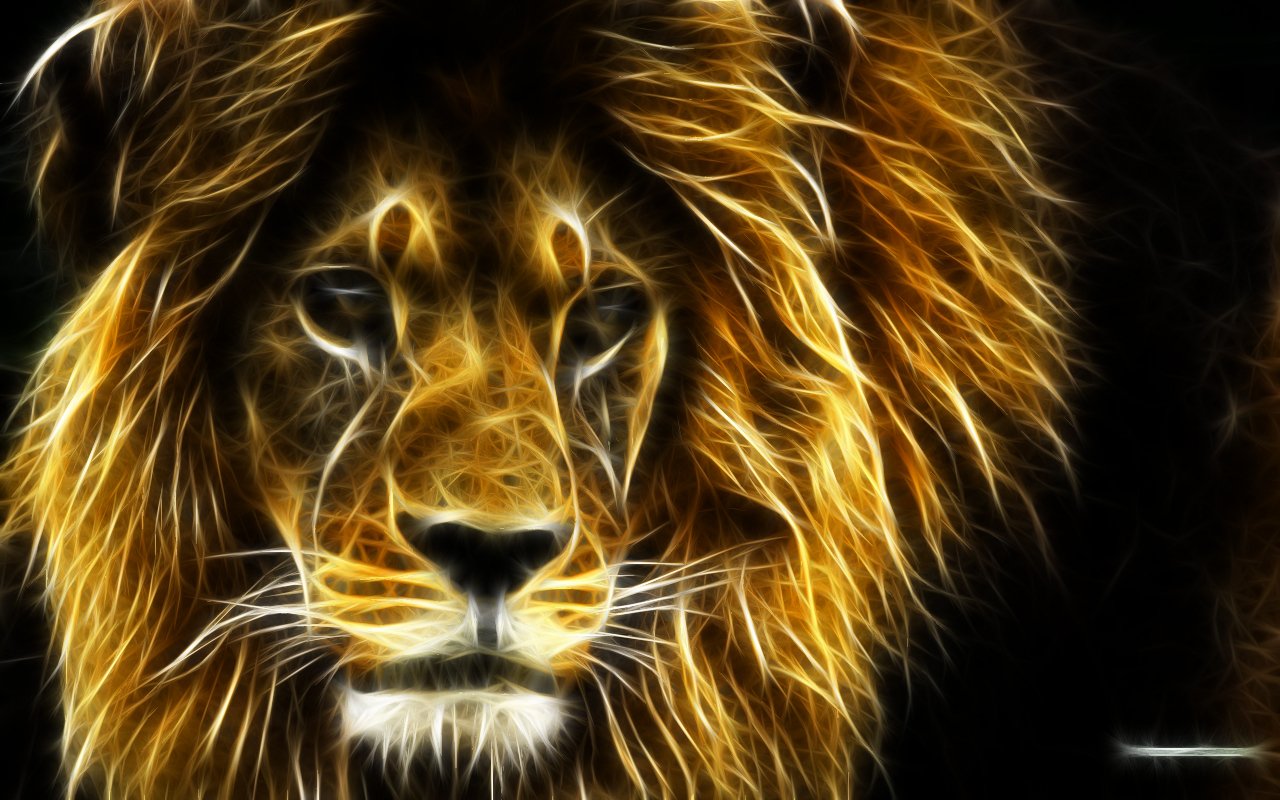 Magnificent Lion: The King of the Jungle