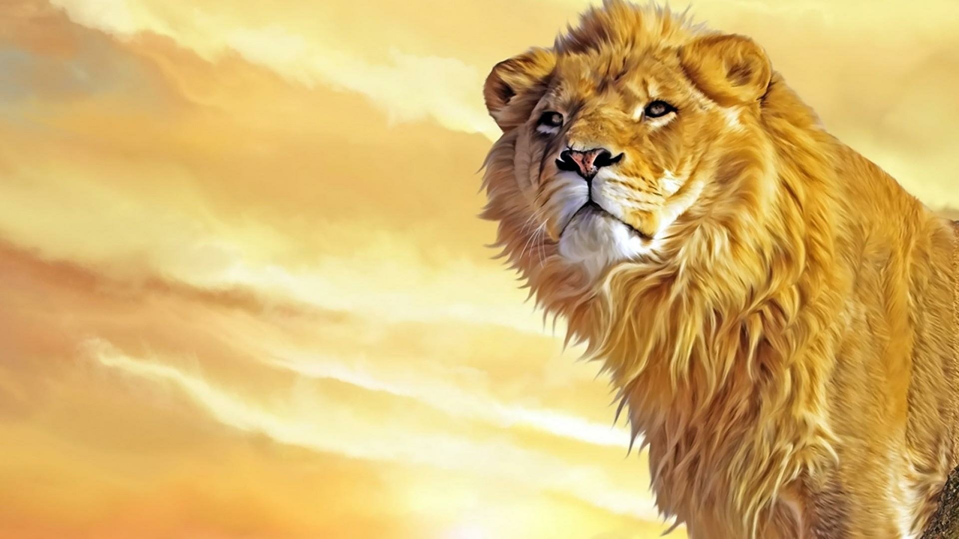 Majestic Lion HD Wallpaper: King of the Wild in Stunning Detail