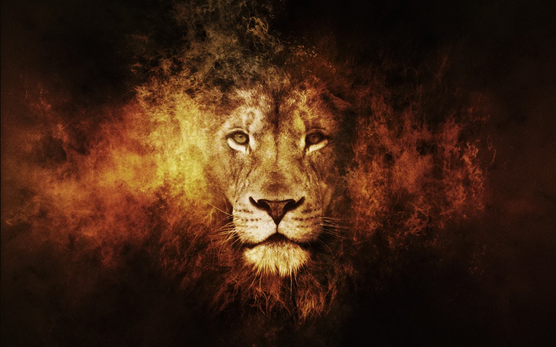 Majestic Lion HD Wallpaper: A Roaring Beauty