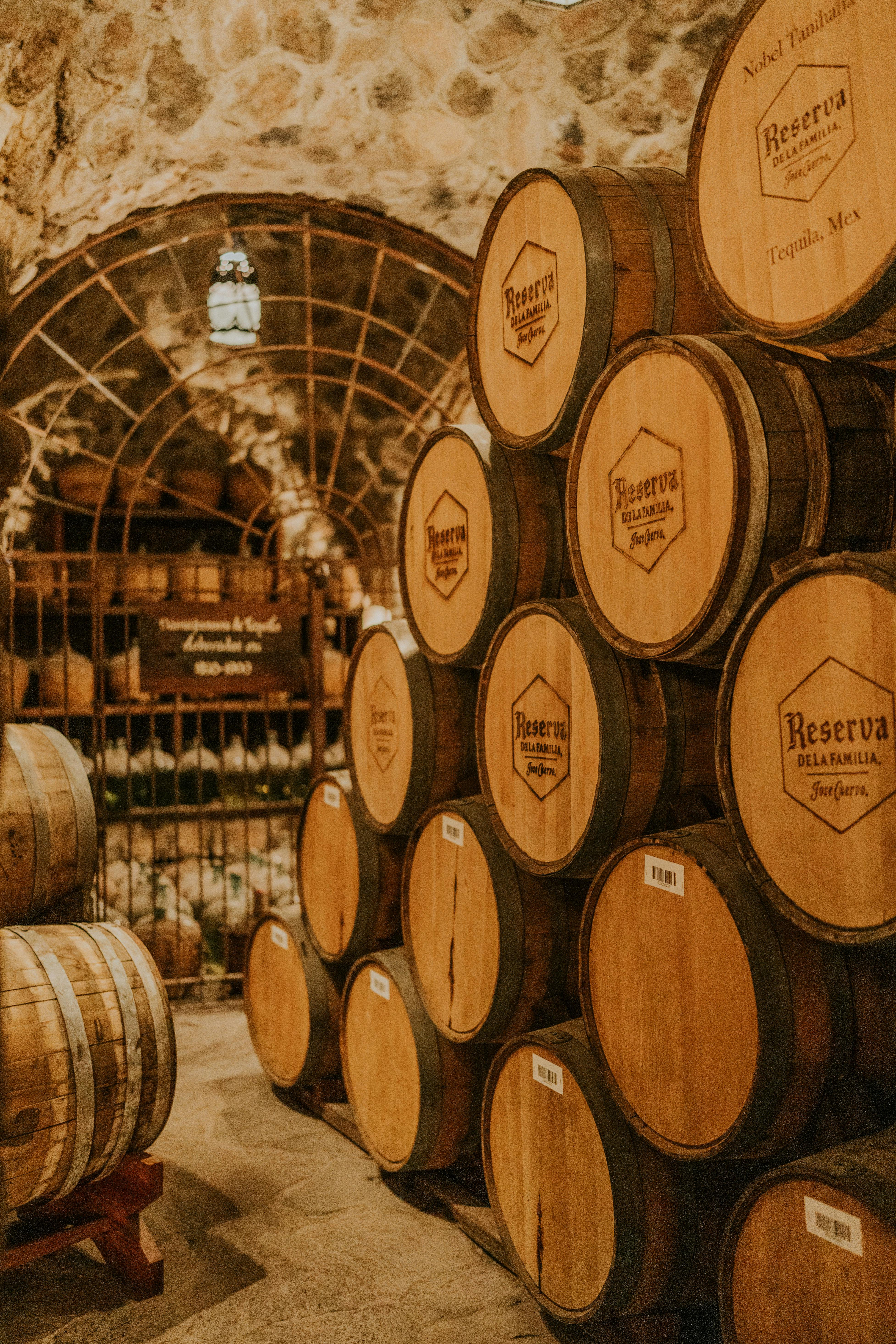 Wine Kegs in Vineyard · Free