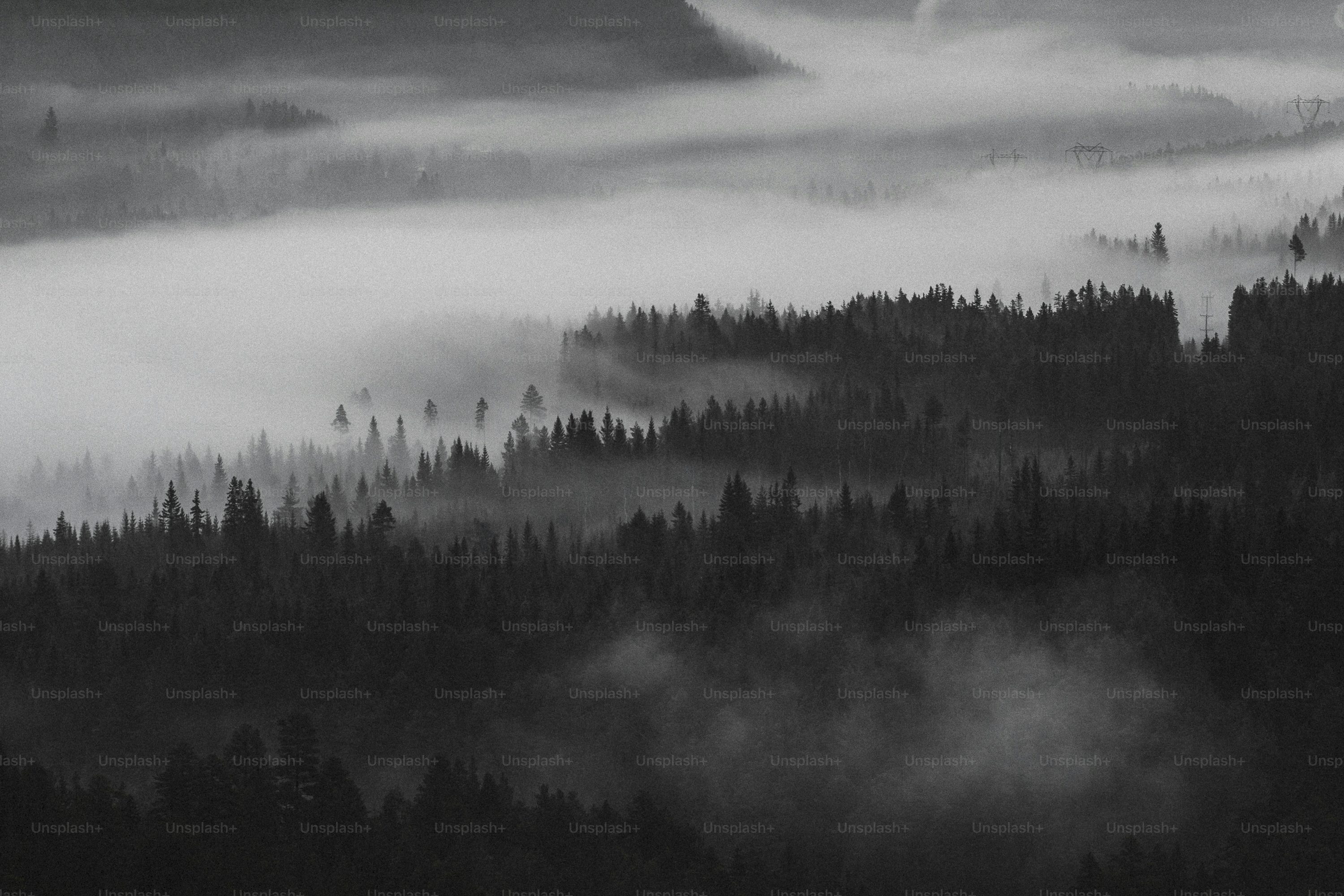 Black And White Aesthetic Picture. Download Free Image