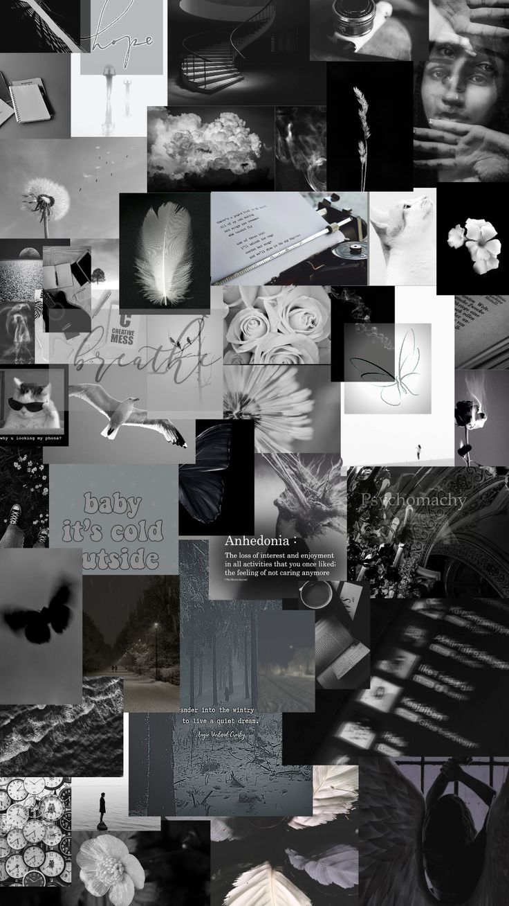 black and white and grey wallpaper