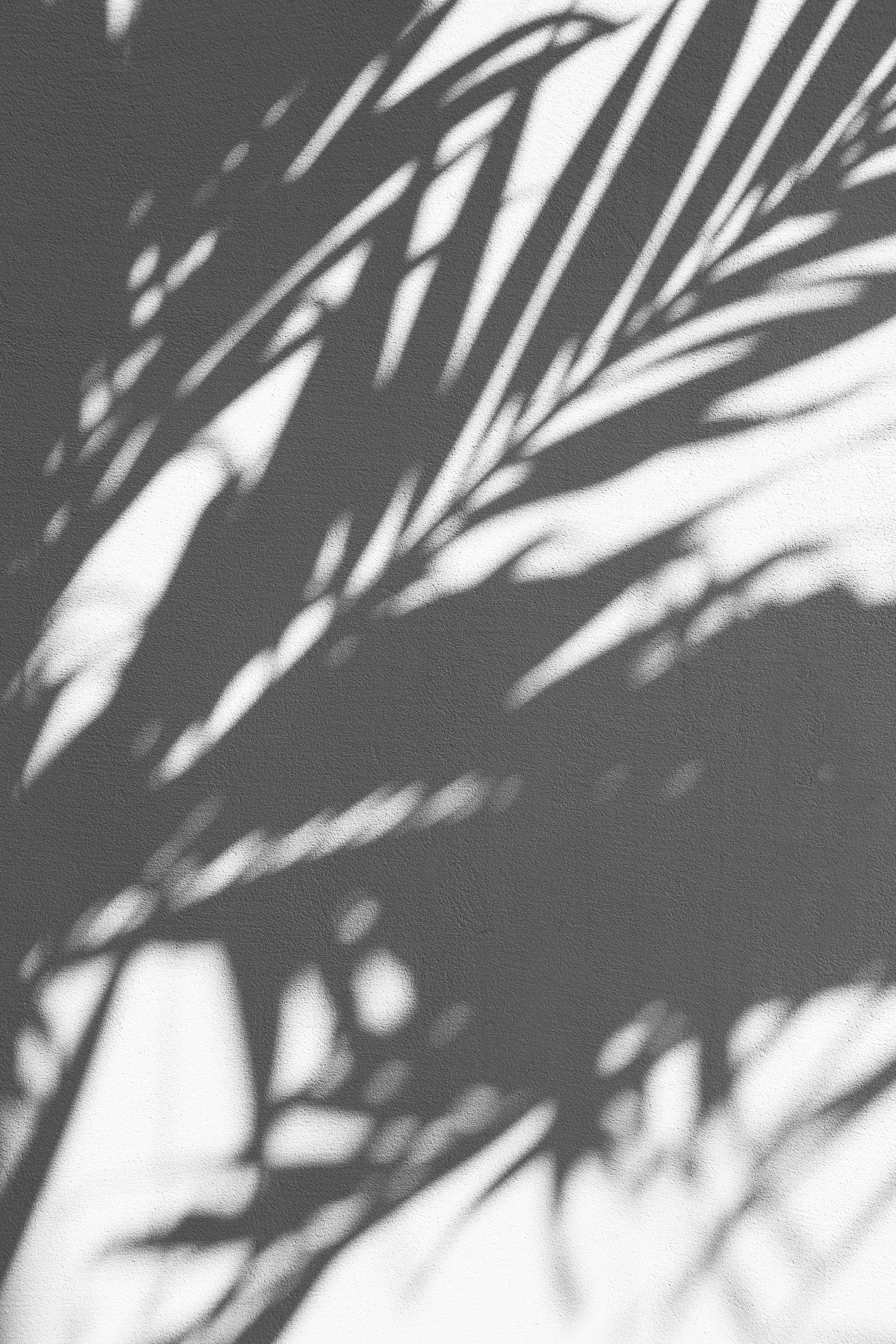 Black And White Aesthetic Picture. Download Free Image