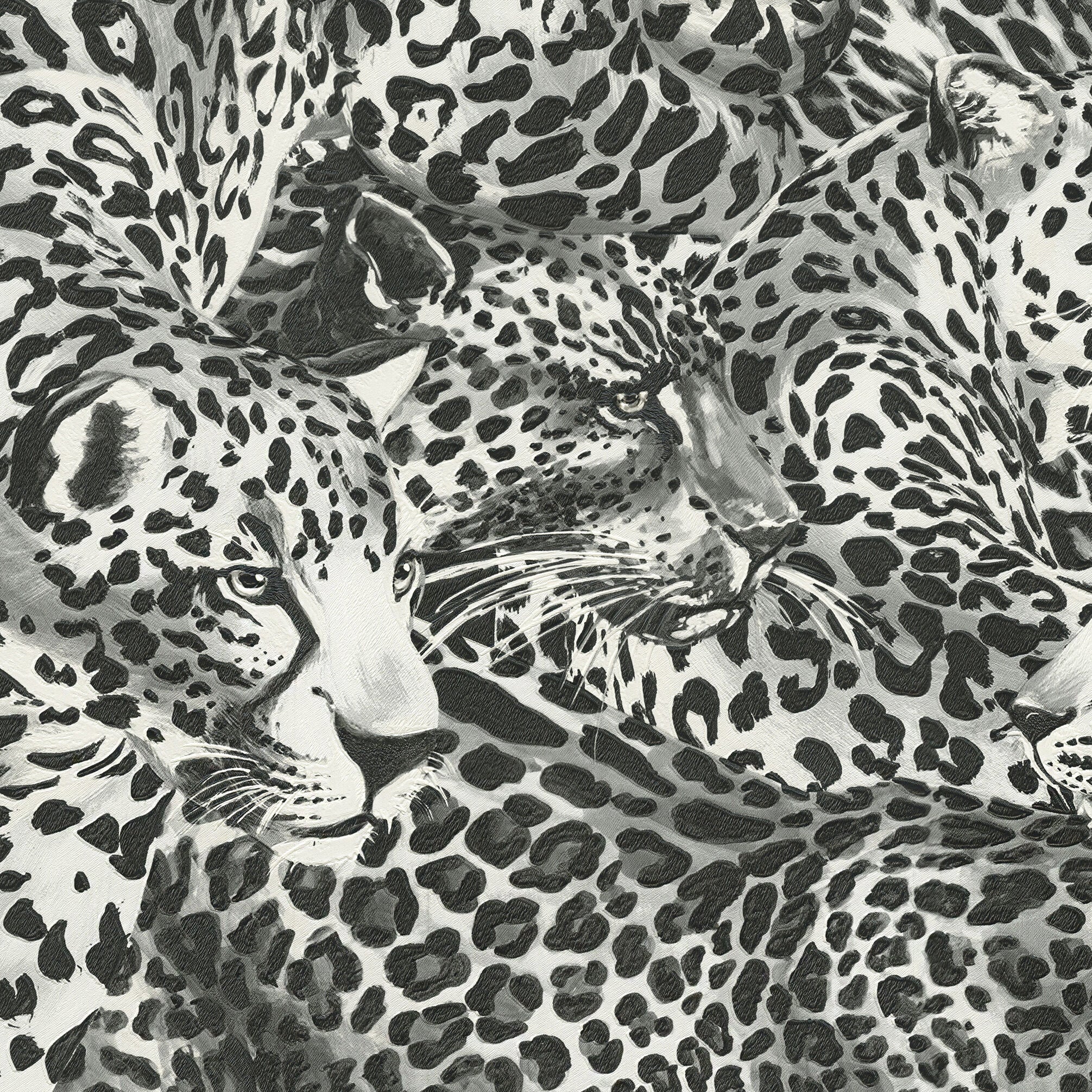 TCW007TCAHOUL030 Dolce & Gabbana charcoal black white cheetah leopard wallpaper textured roll