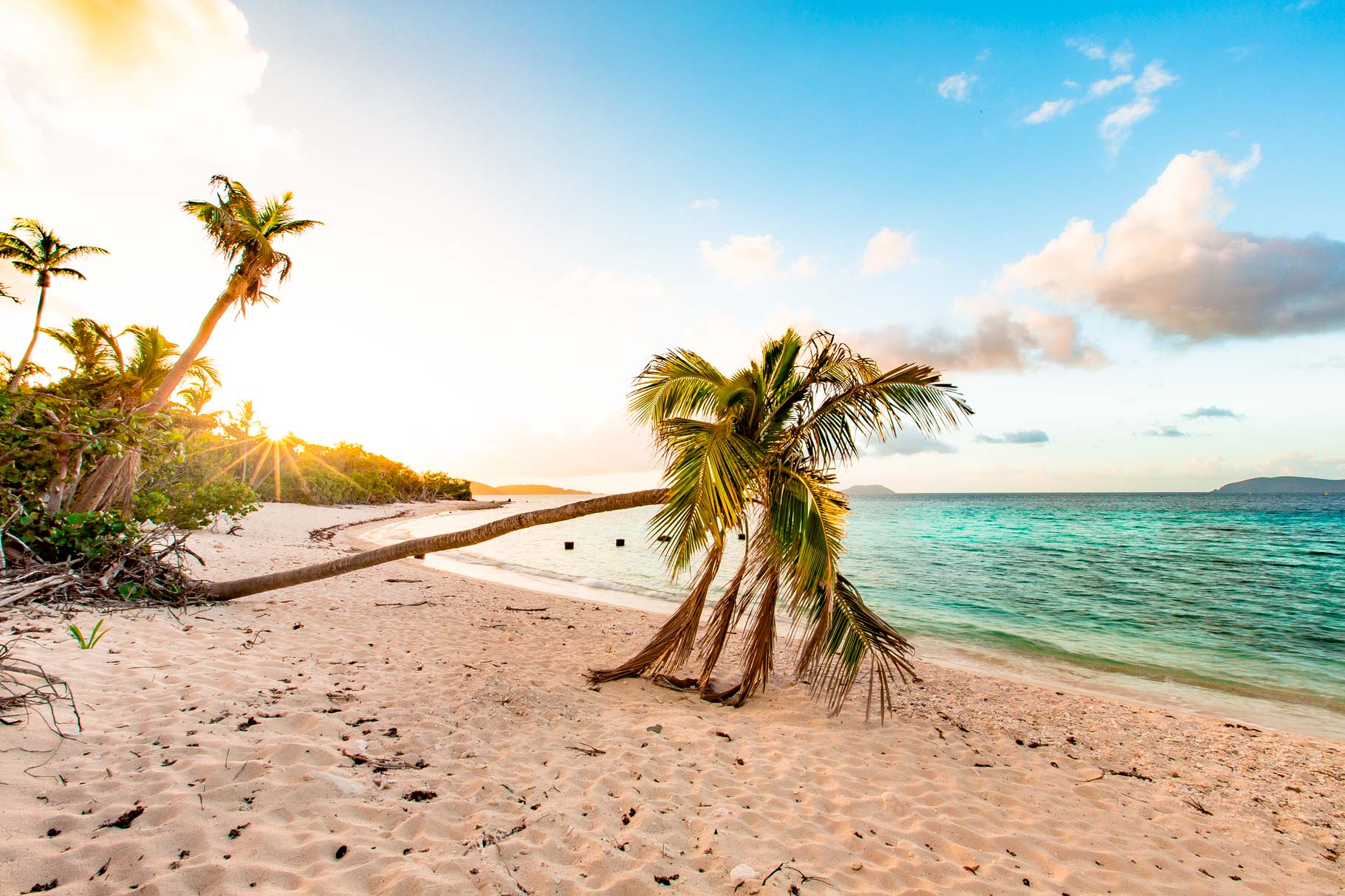 Virgin Islands National Park (An Expert Guide + Stunning Video)