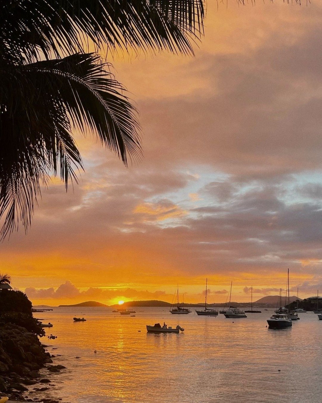Discover the Magic of the U.S. Virgin Islands After Dark Dreams Magazine