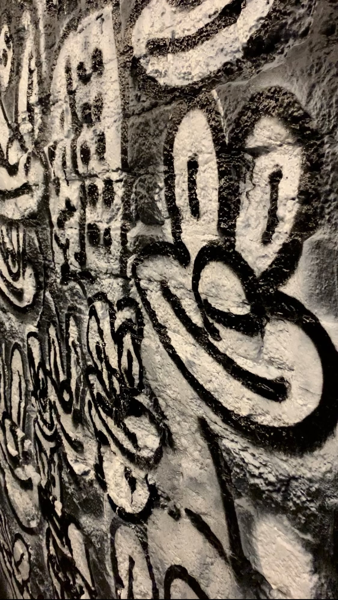 Olaolu Slawn x Asap Rocky