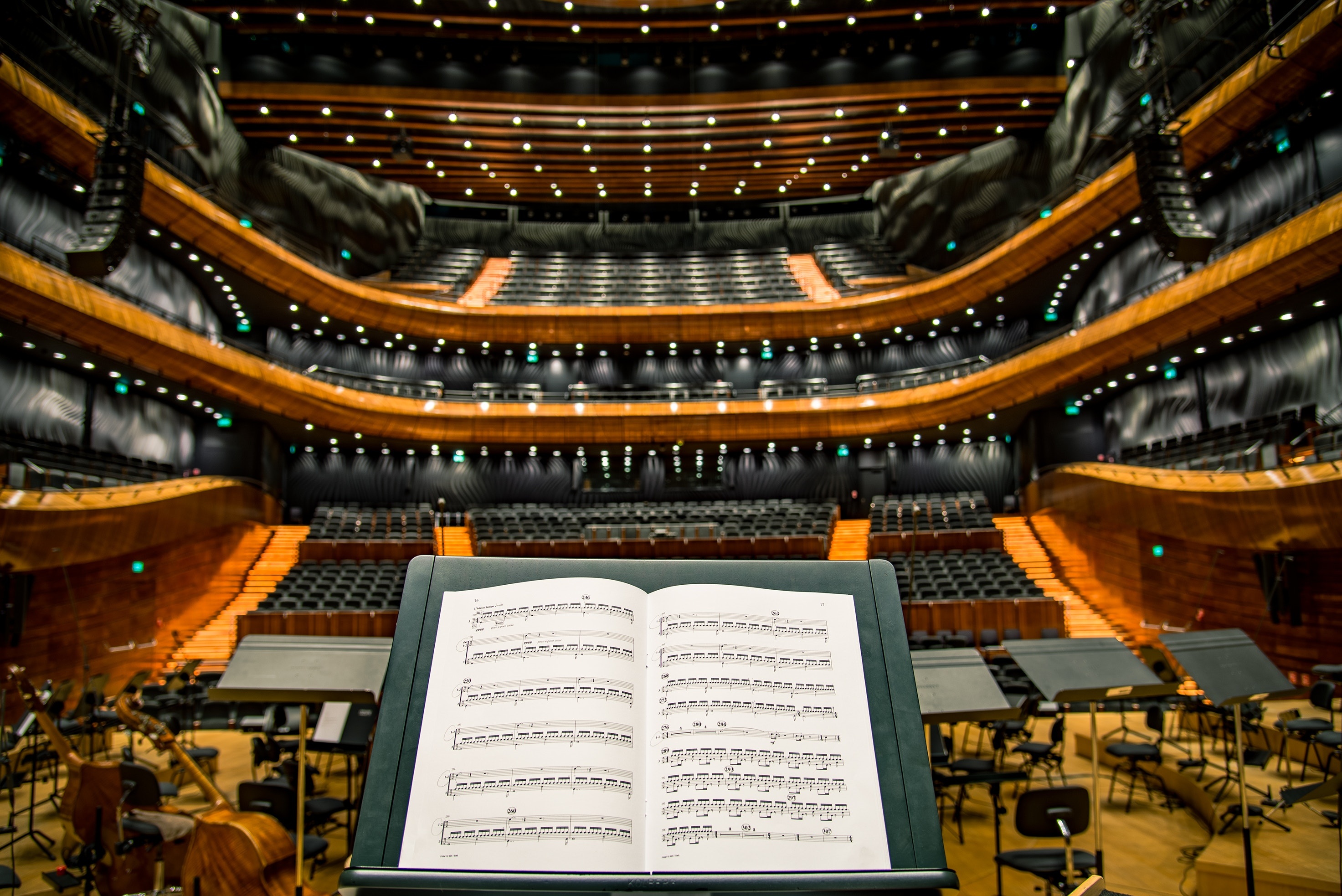 Orchestra Wallpaper