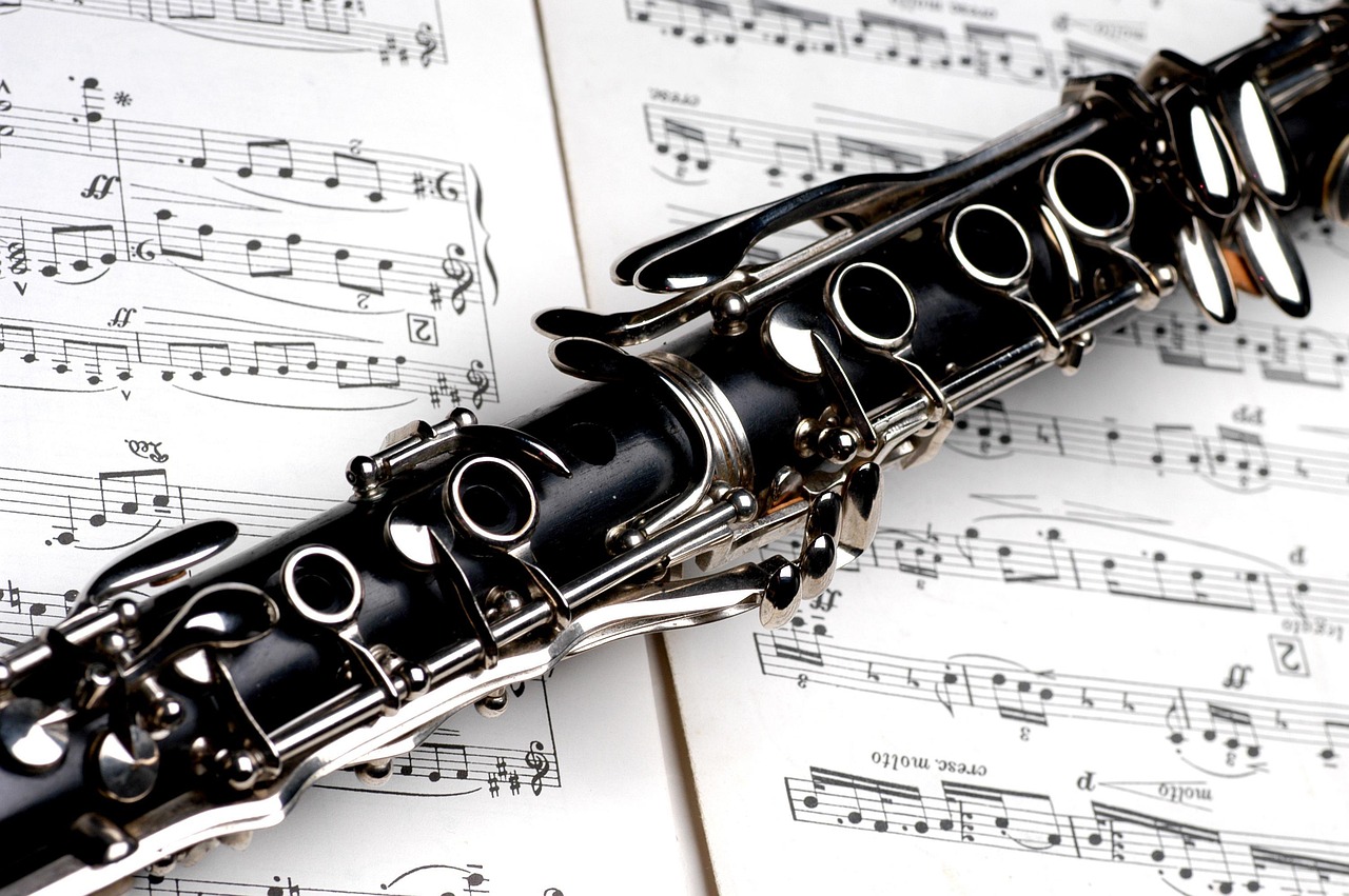 Free Symphony Orchestra & Orchestra Image
