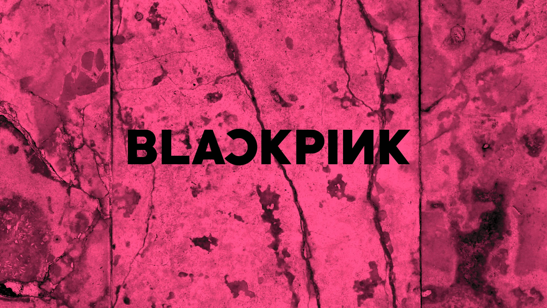 Download Blackpink Logo On Cool Pink Wall Wallpaper