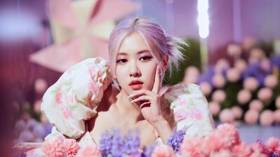 Rose HD 4K Wallpaper PC & Phone