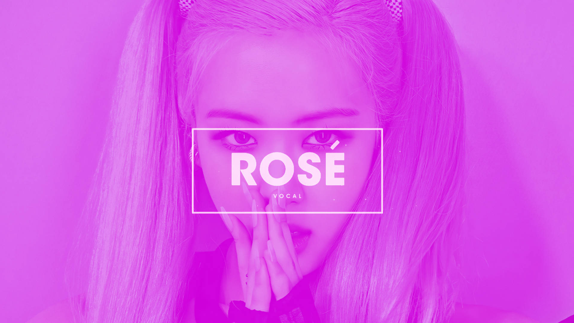 Download Pink Tinted Rose Blackpink Desktop Wallpaper