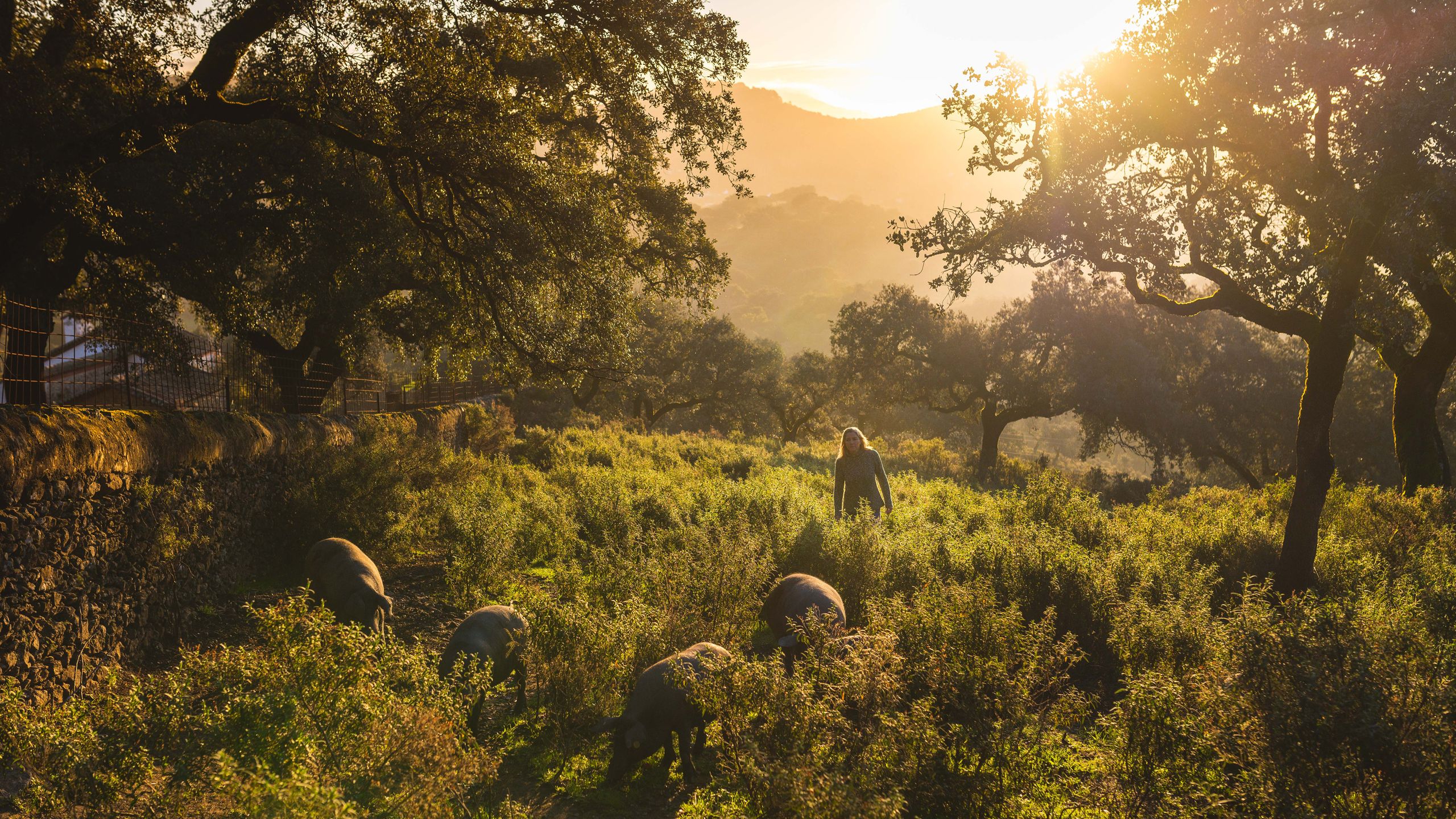 Traveling to the Source of Spain's Jamon Ibérico. Condé Nast Traveler