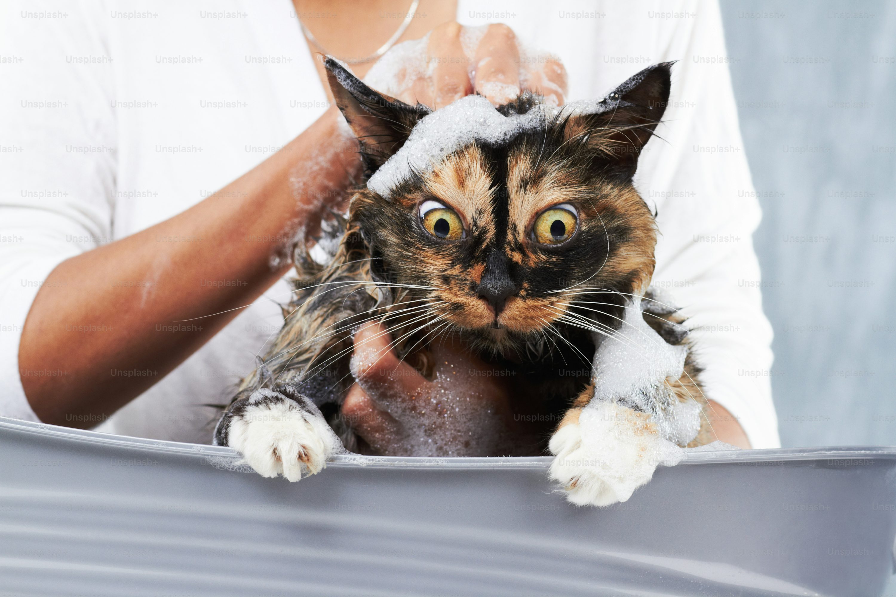 Ugly Funny Picture. Download Free Image