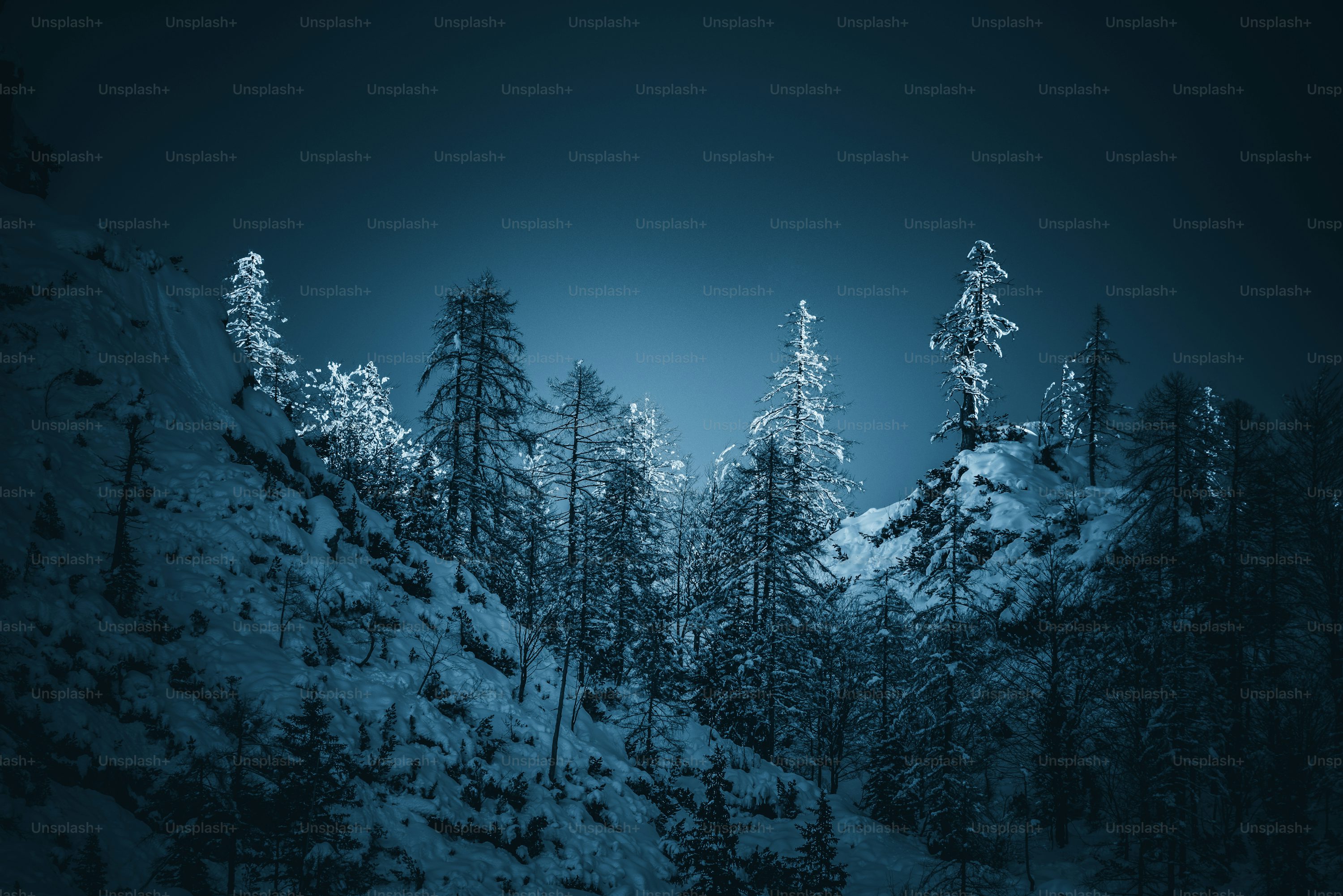 A night scene of a snowy mountain with trees photo