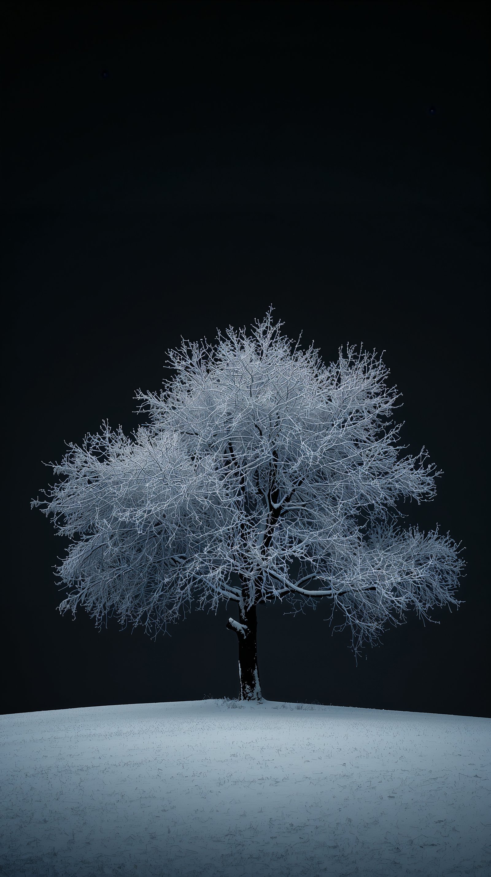 Free Black Winter Wallpaper (Dramatic and Modern)