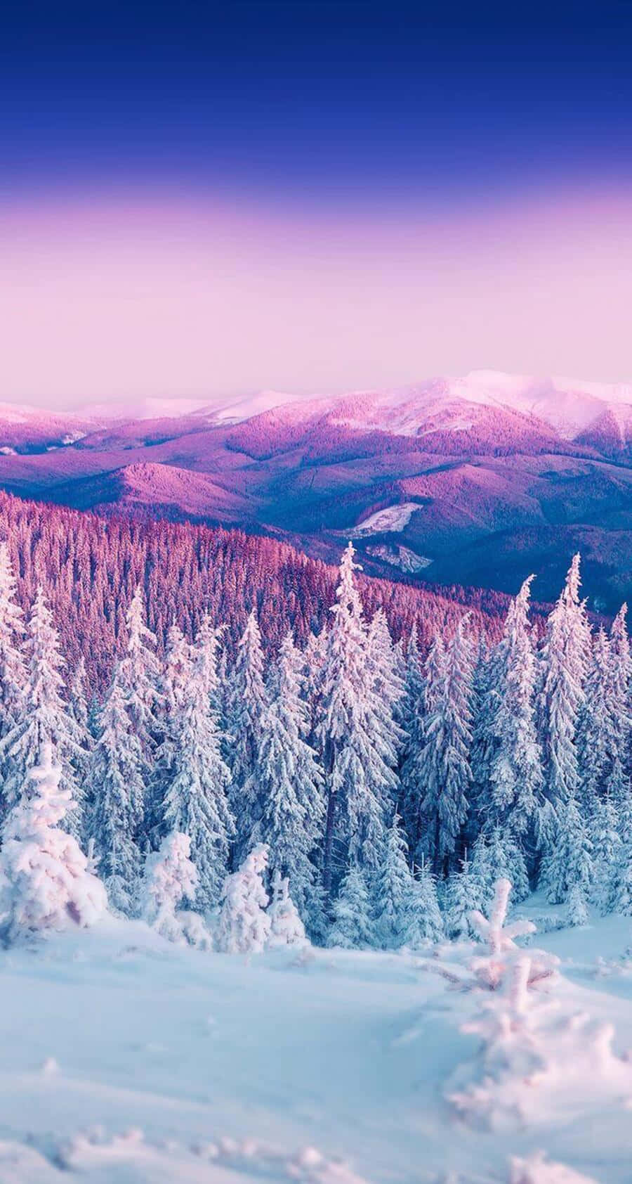 Cute Winter Aesthetic Wallpaper