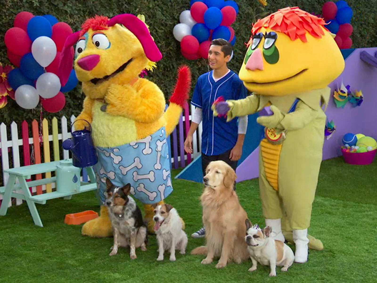 Mutt & Stuff Season 3