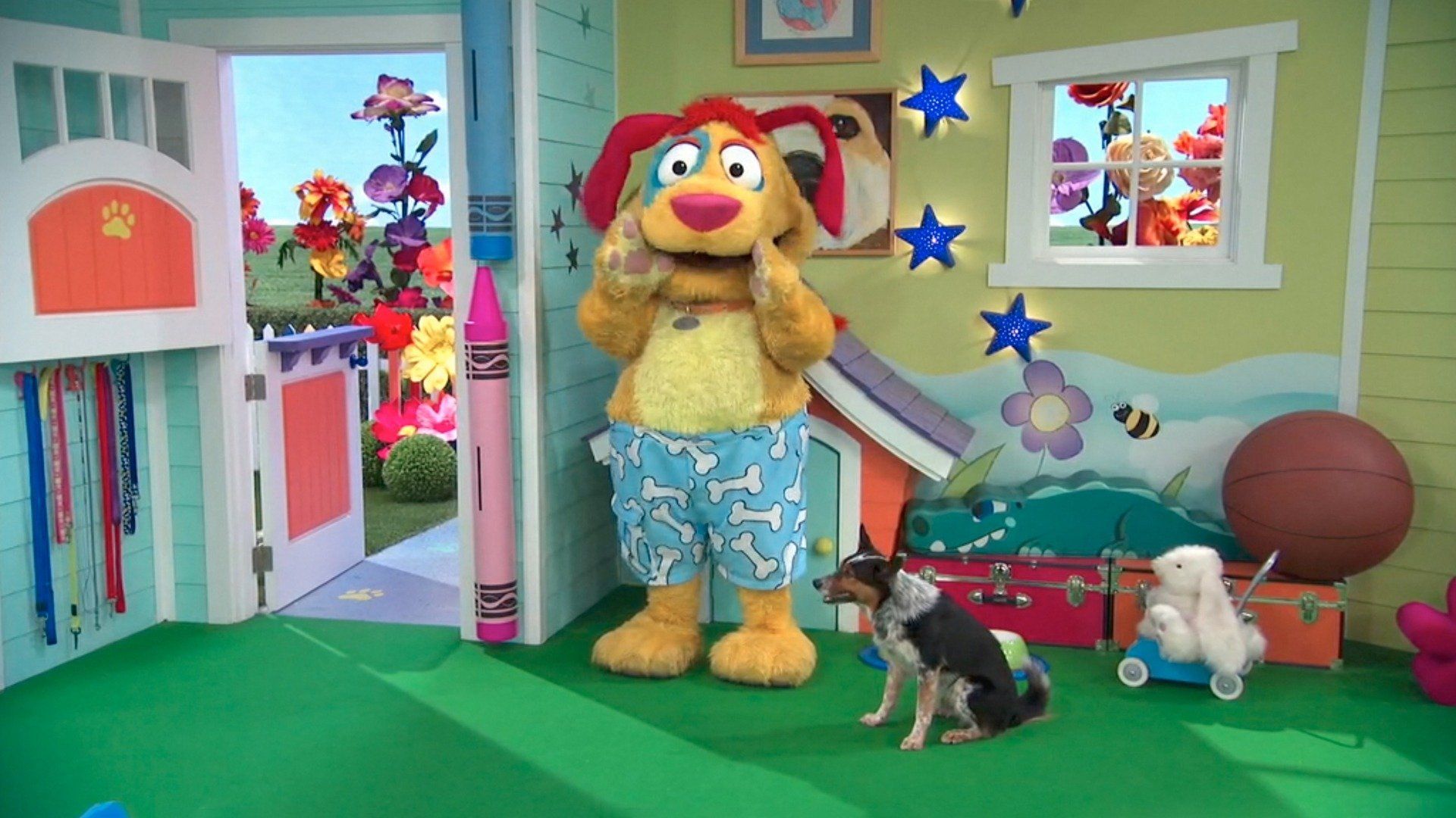 Watch Mutt & Stuff 2 • Episode 21 Dog Full Episode Online