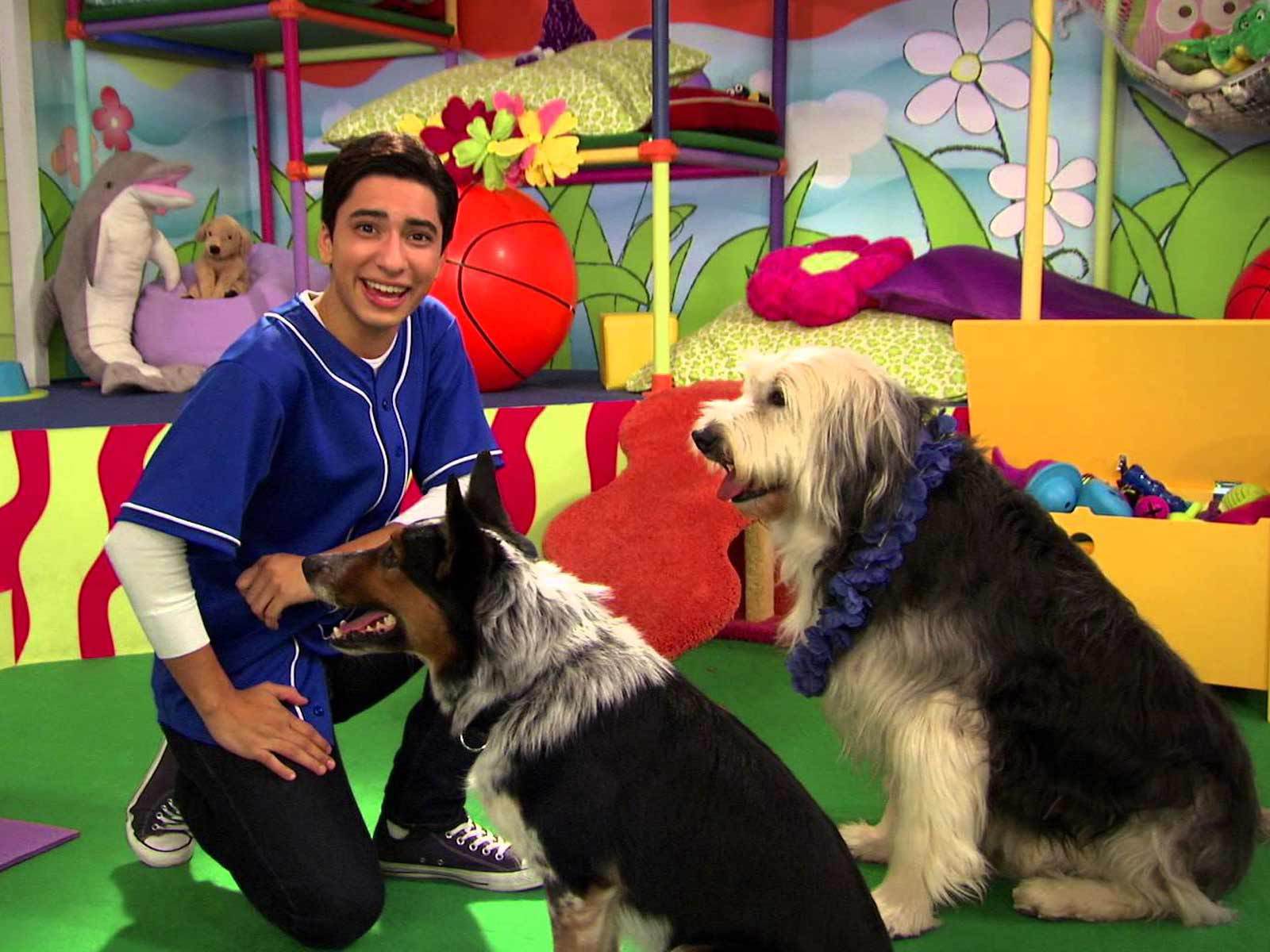 NickALive!: Animal Trainers Sue Over Talent Fight on Nickelodeon's 'Mutt & Stuff'