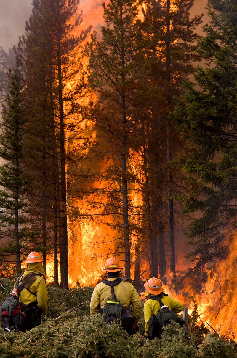 Wildland Firefighter Image Wallpaper