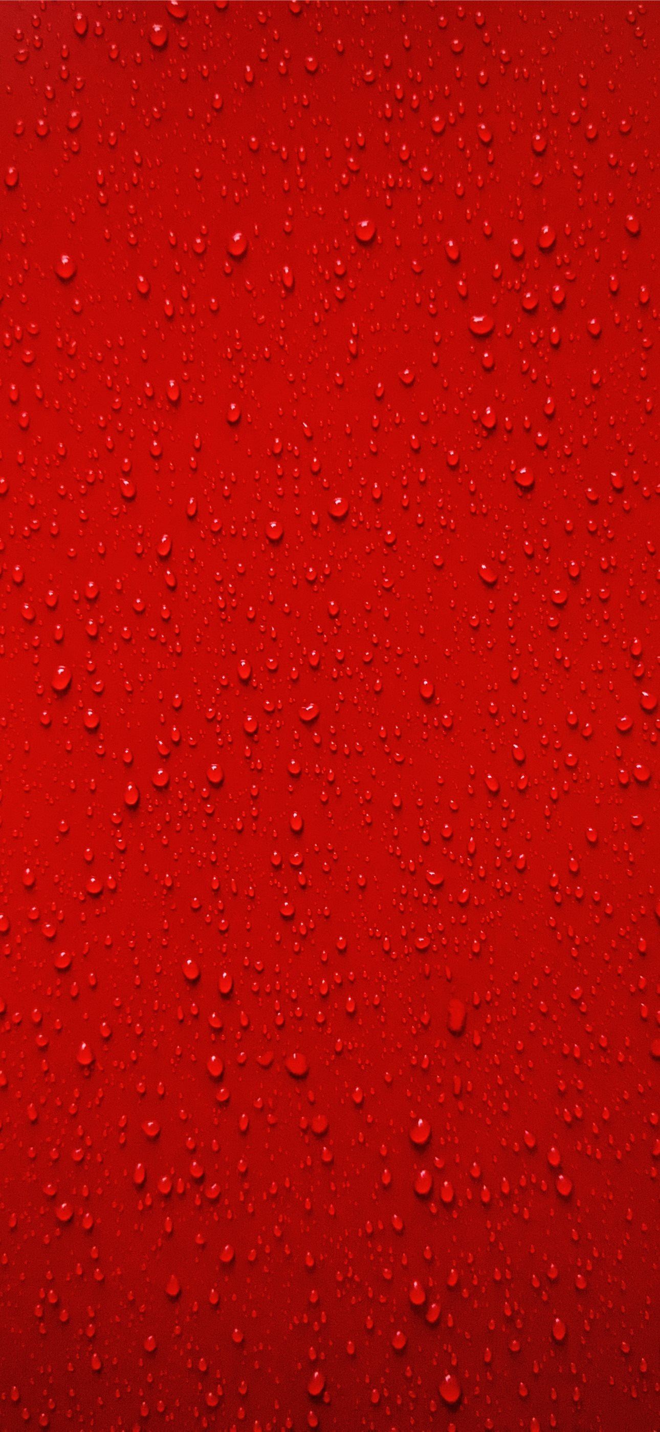 red and white abstract painting iPhone Wallpaper Free Download