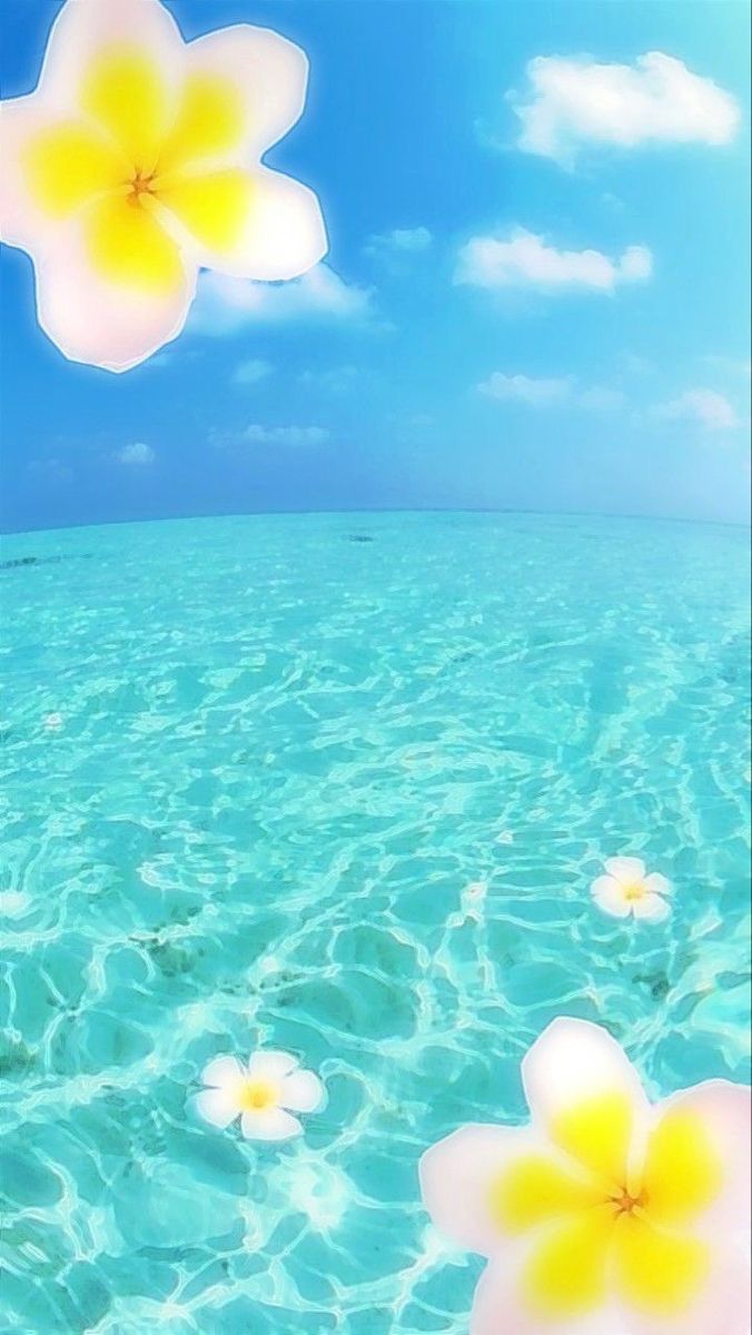 Colorful Flowers Floating in Water