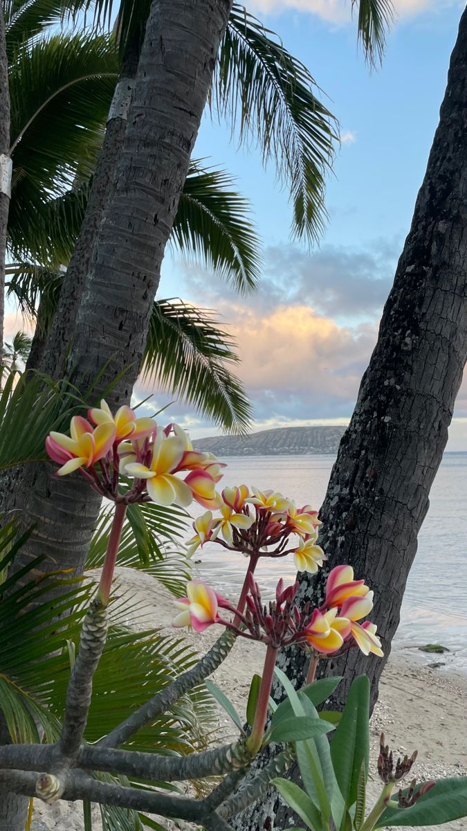 Blooming Flowers on the Beach