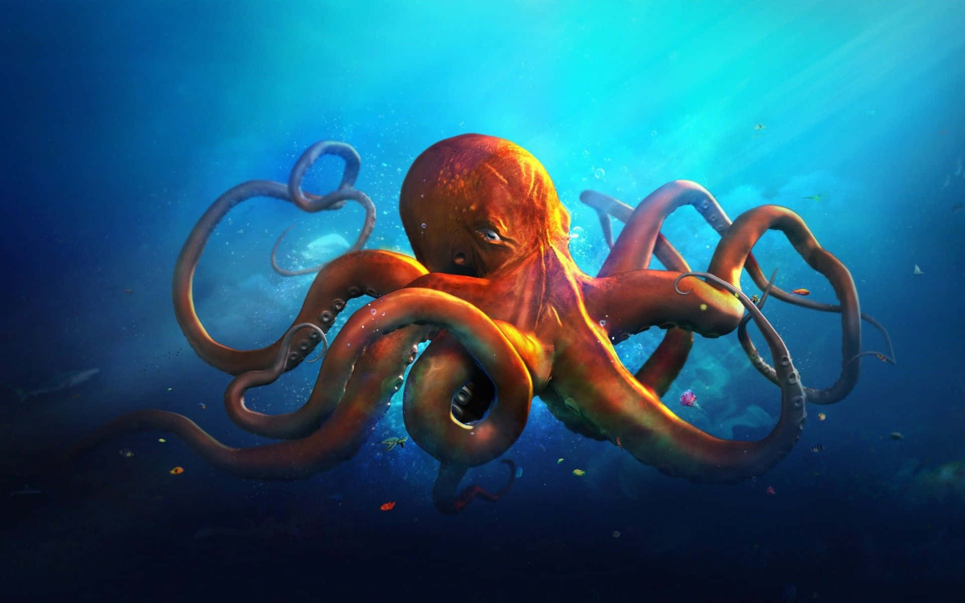 Giant Pacific Octopus Wallpaper