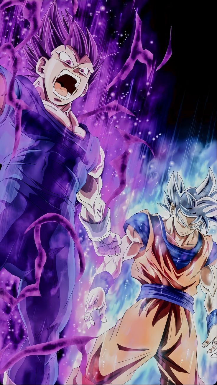 ultra ego Vegeta and ultra instinct Goku HD wallpaper