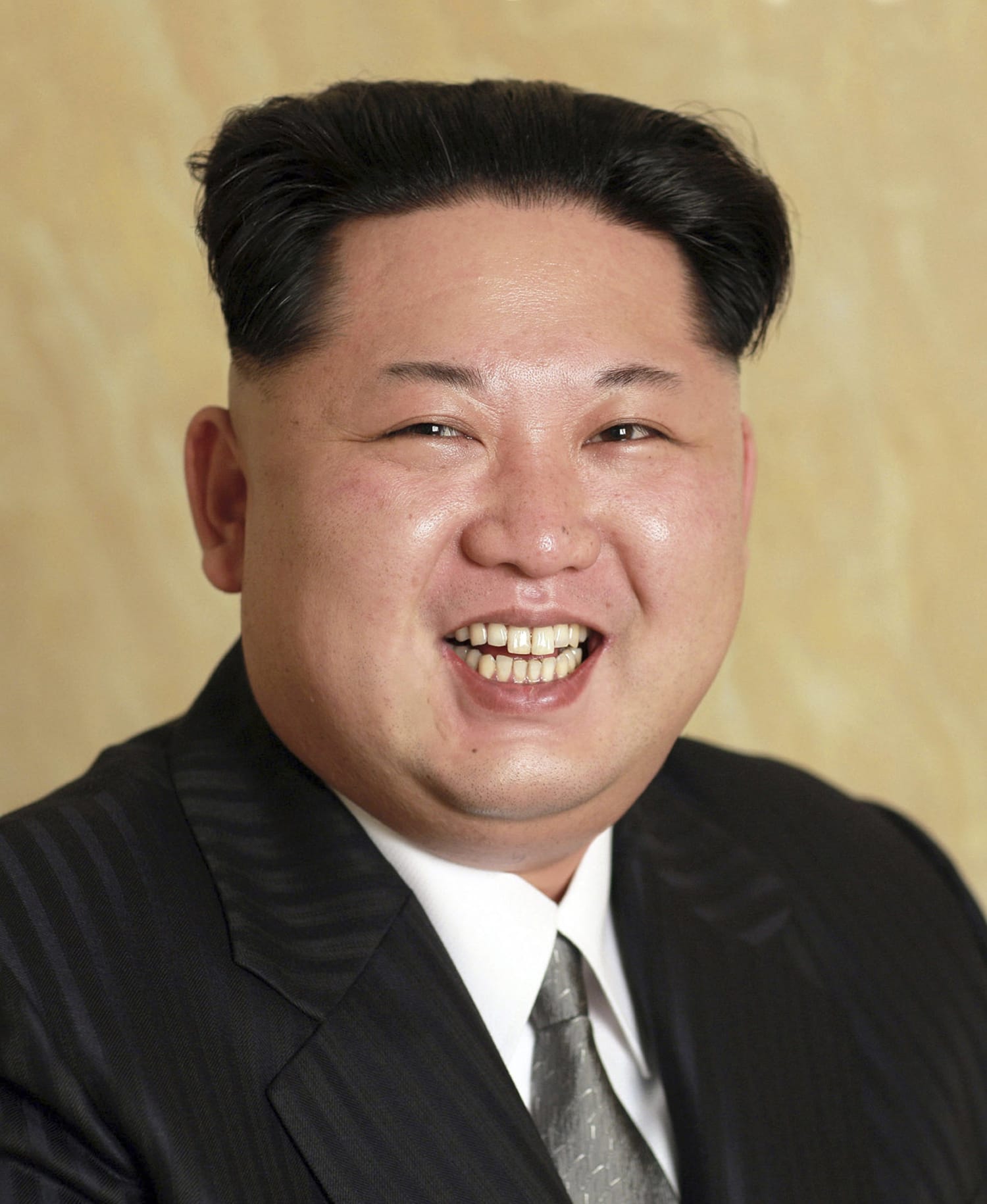 Unusual Portraits Show Kim Jong Un, Other Leaders Up Close