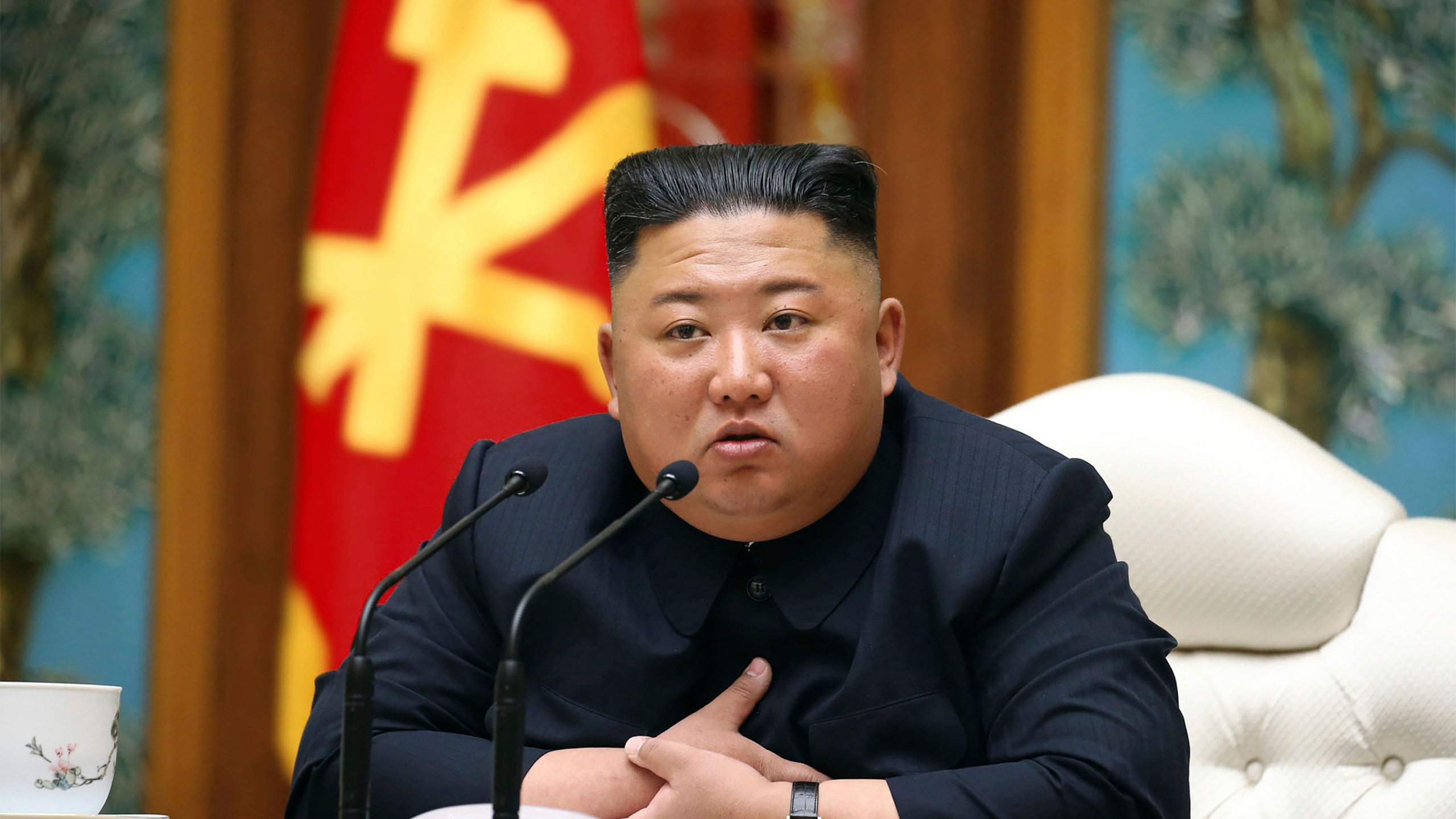 South Korea maintains Kim Jong Un health rumors are untrue