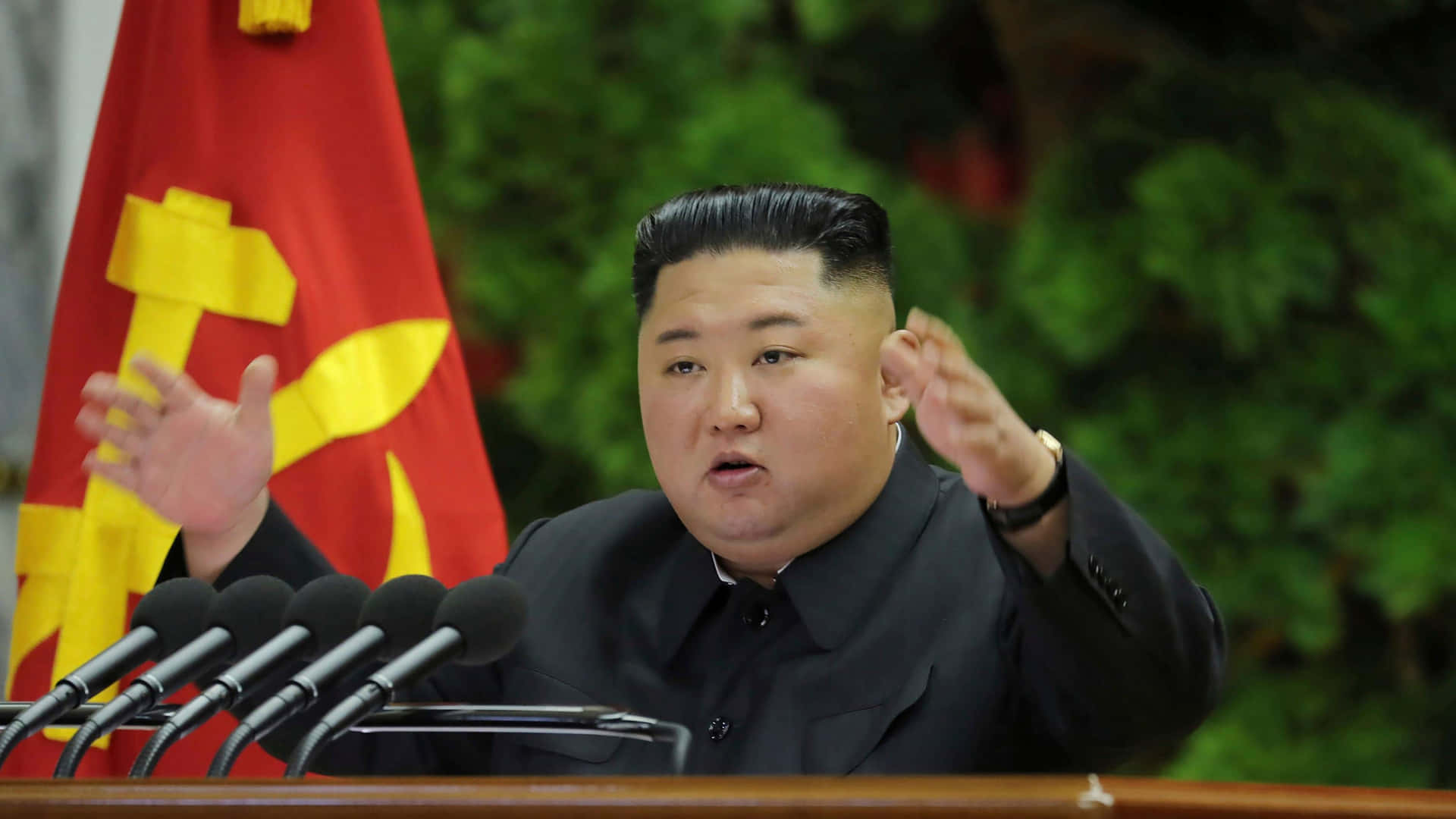Download North Korean leader Kim Jong Un Standing on a Hilltop