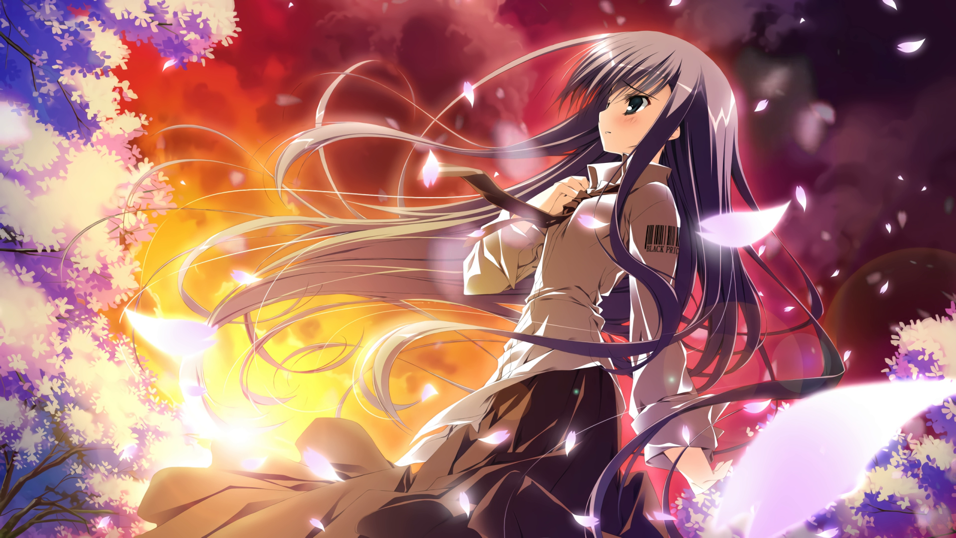 Sakura No Uta Ai Live Wallpaper