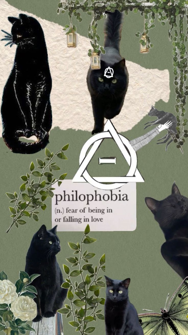 Black cat therian wallpaper!